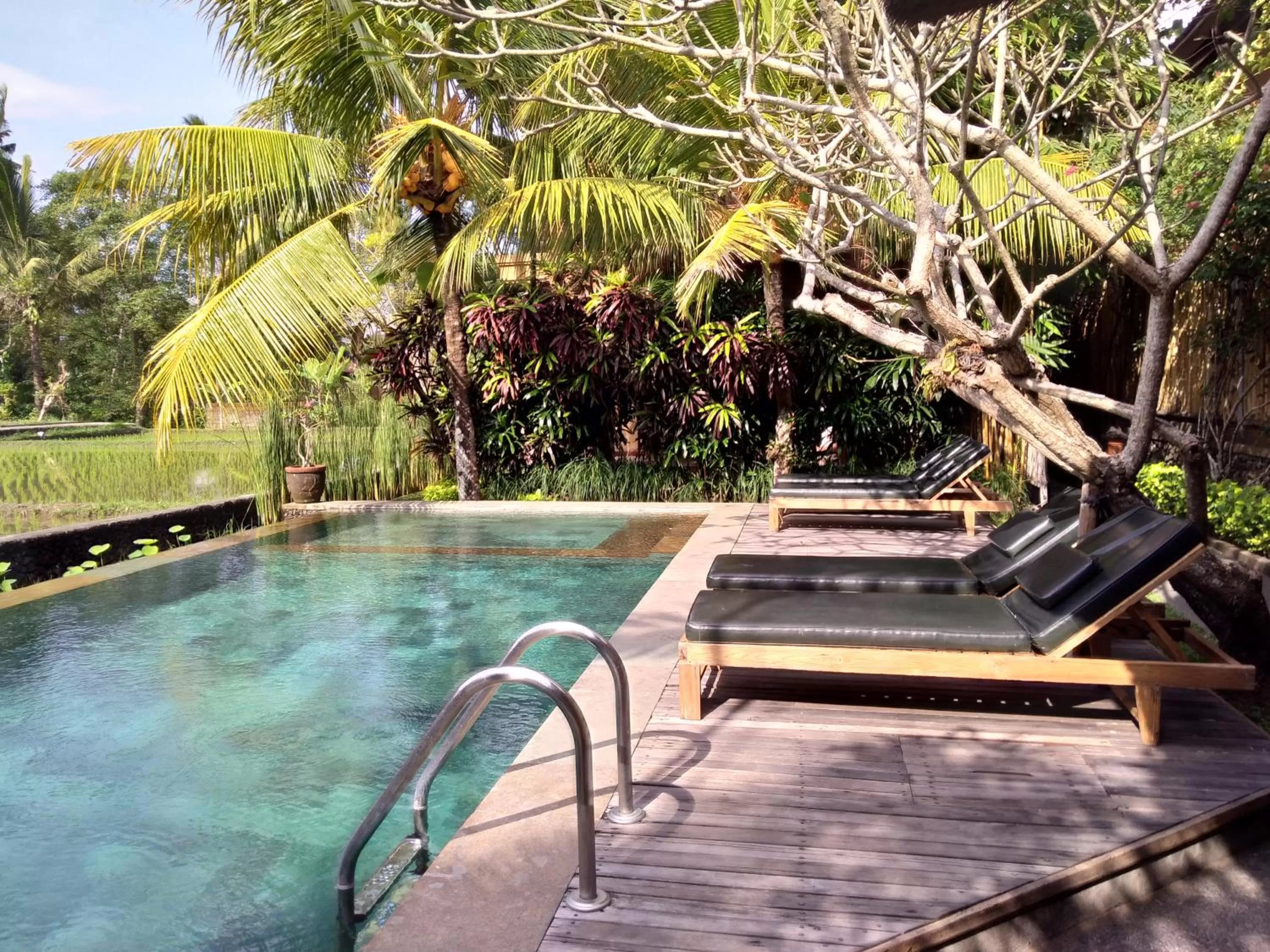 Swimming Pool in Ubud Lestari Bungalows