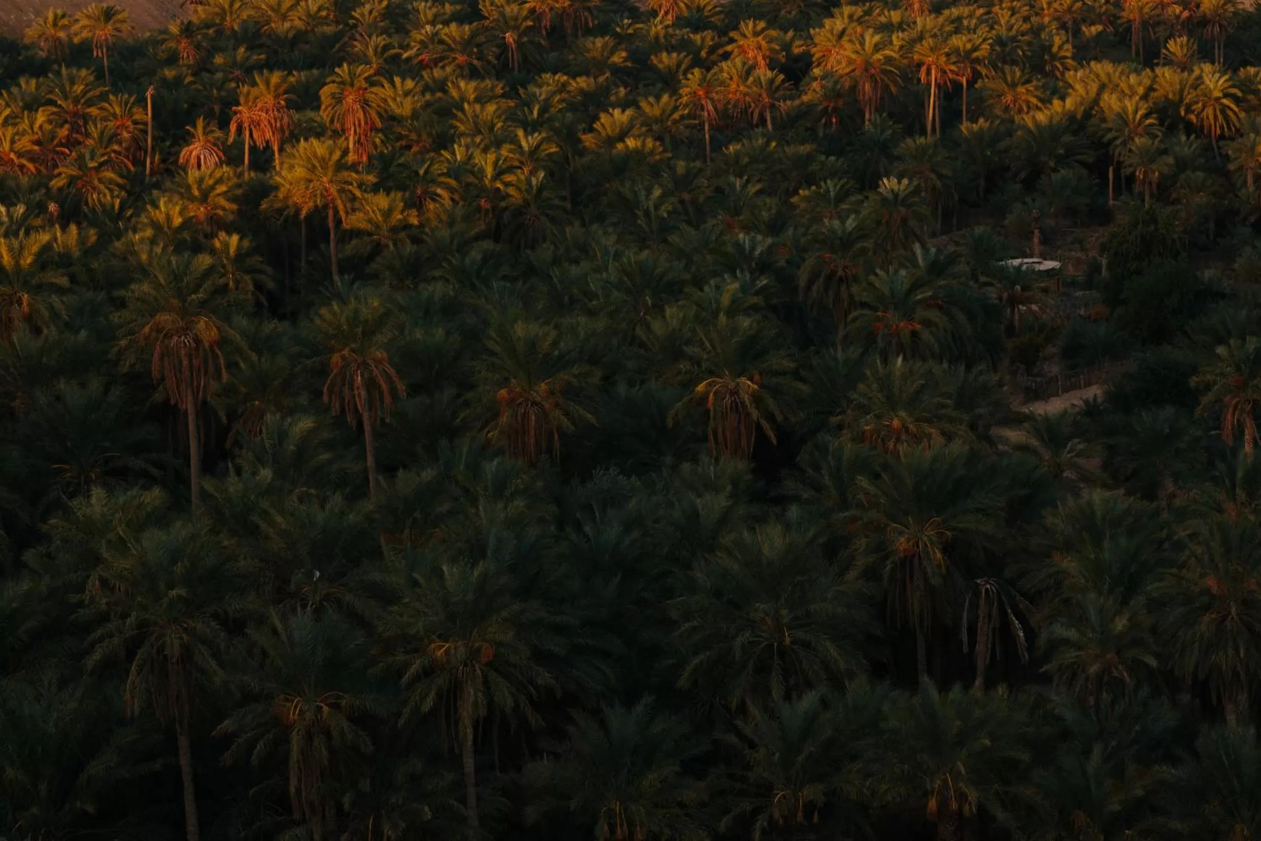 Property building in Hotel Dar Hi