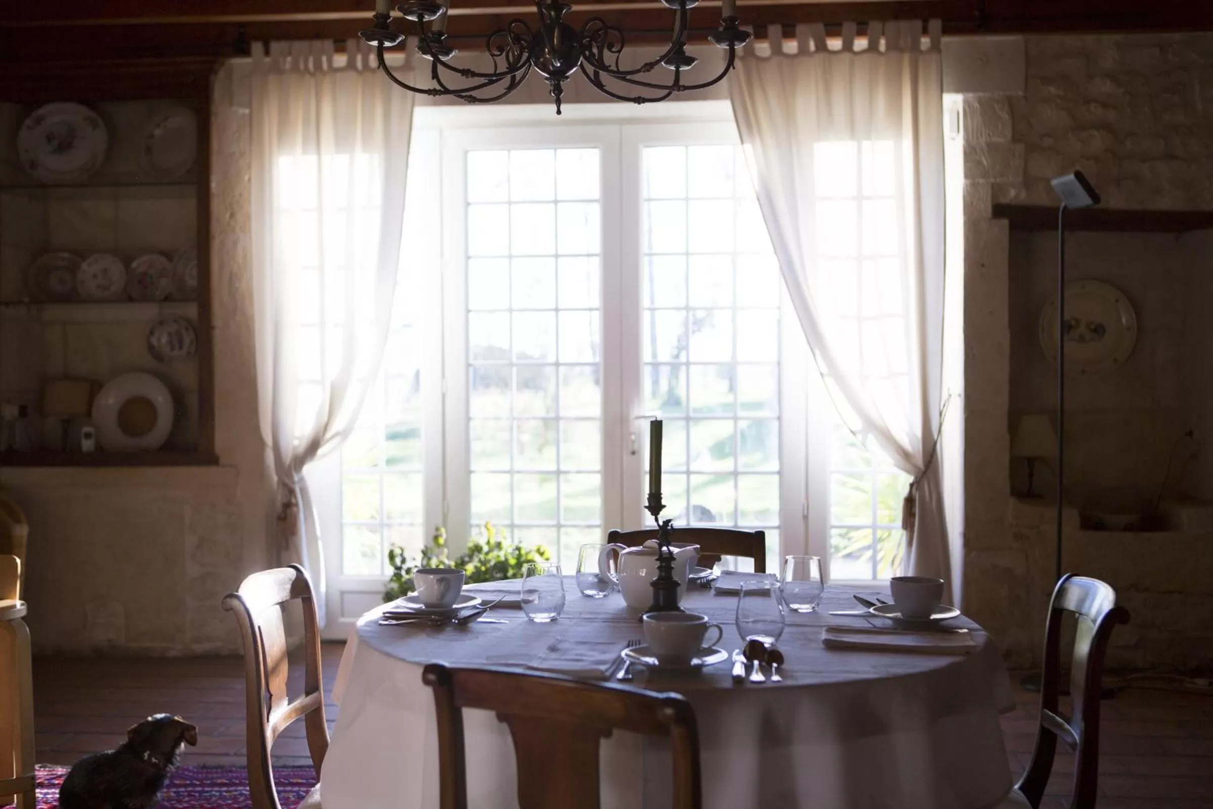 Library in La Bribaudonnière