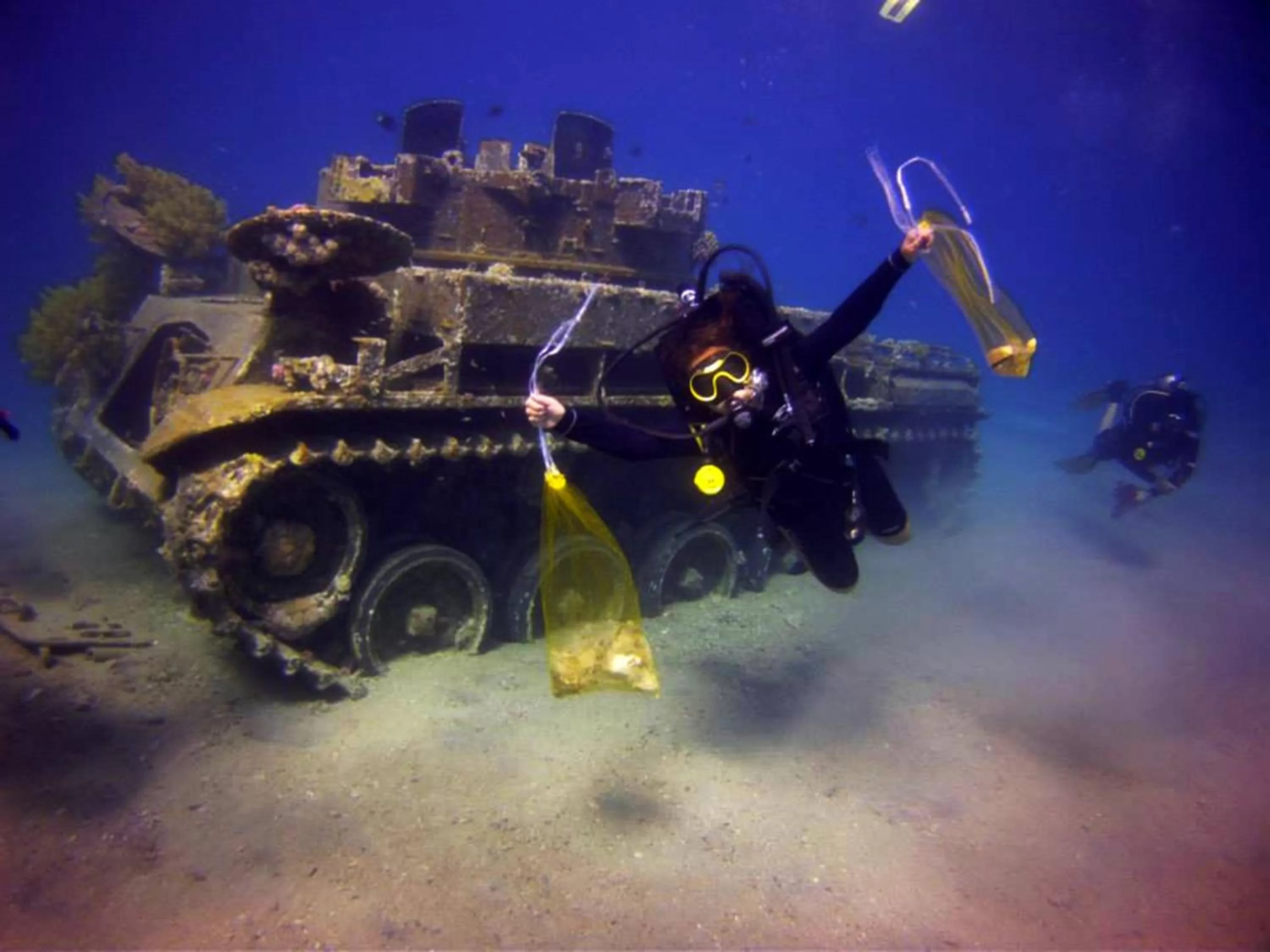 Diving in Arab Divers Dive Center and Bed & Breakfast