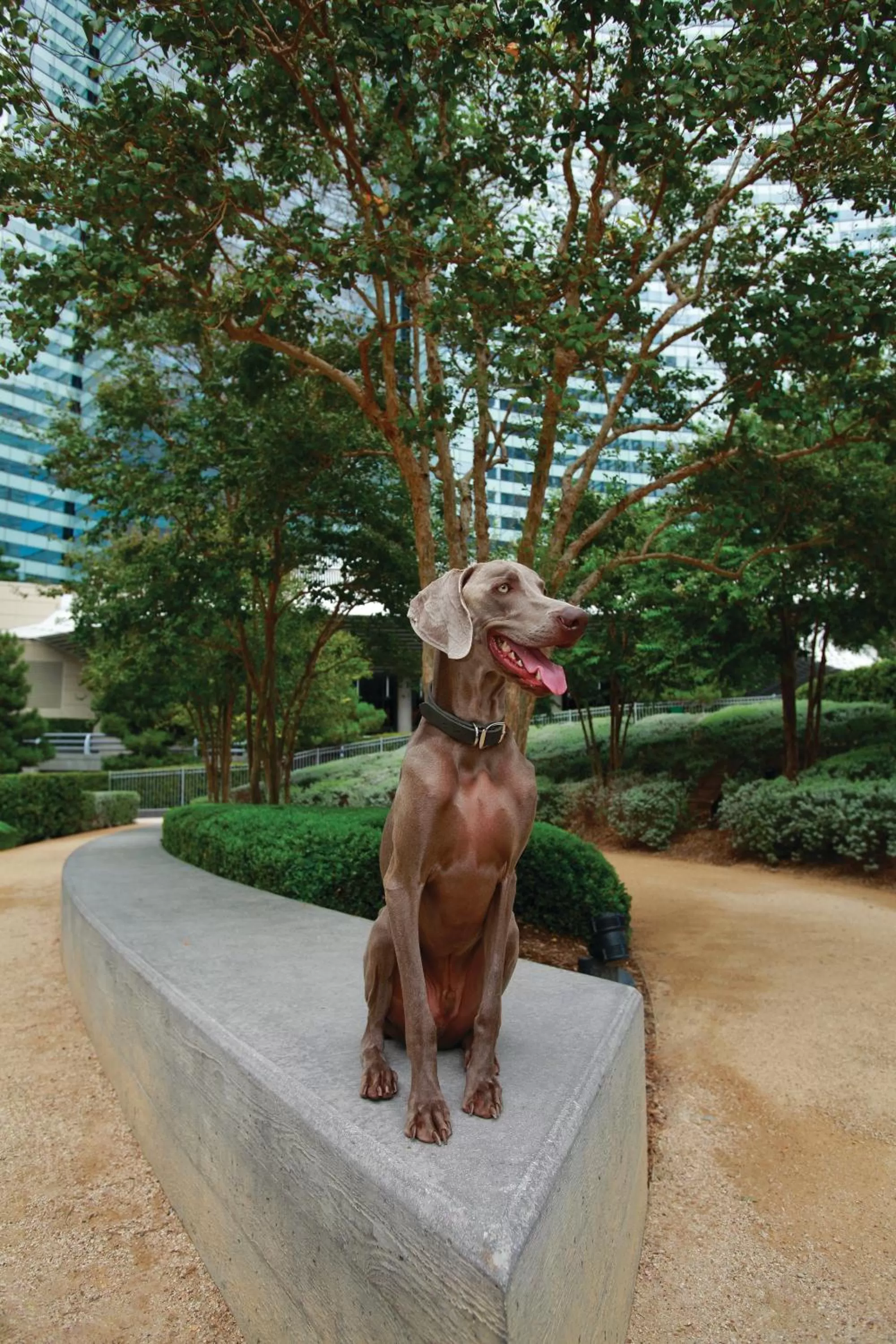 Other in Vdara Hotel & Spa at ARIA Las Vegas