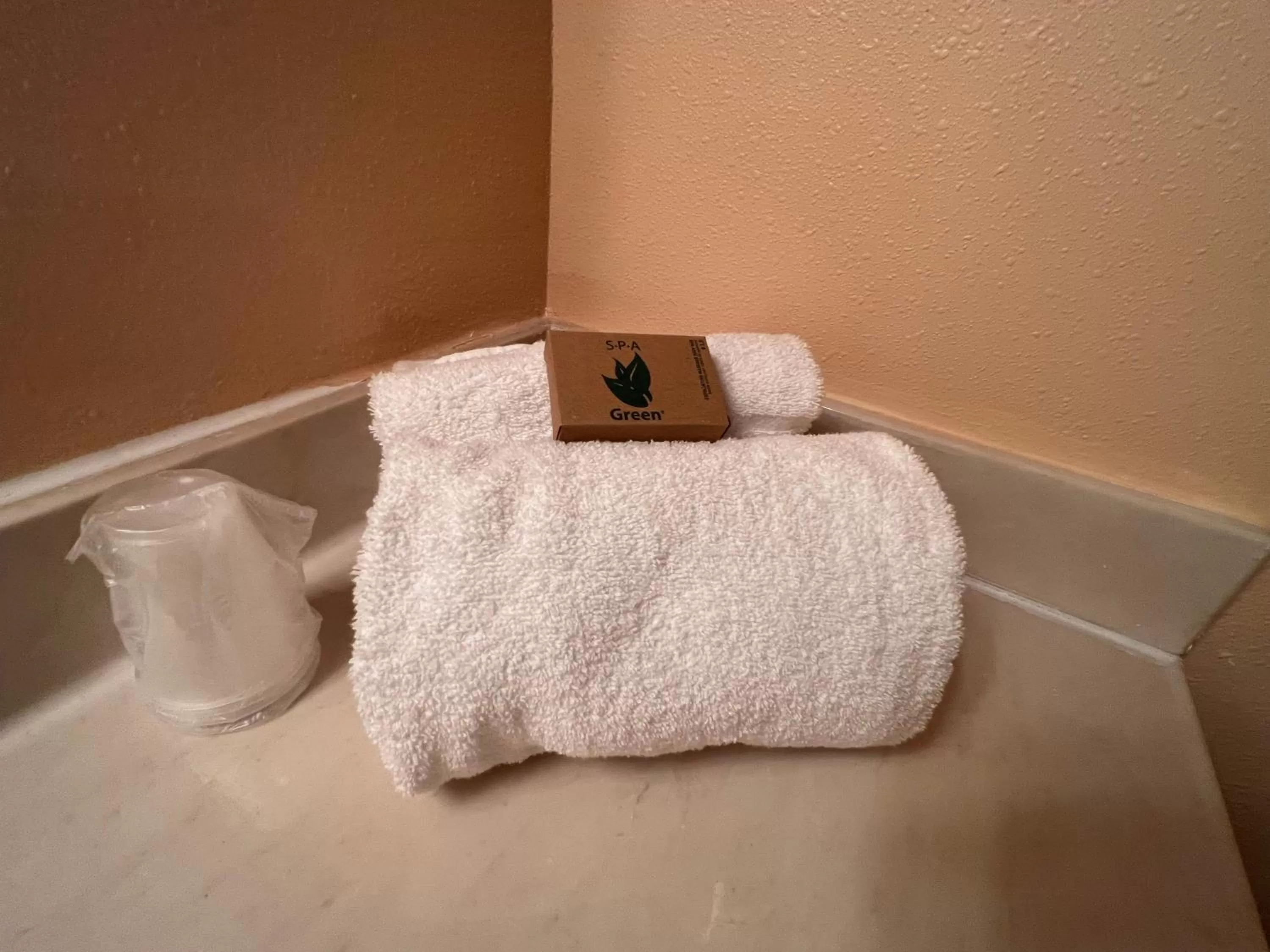 Bathroom, Bed in Frazier View Motel