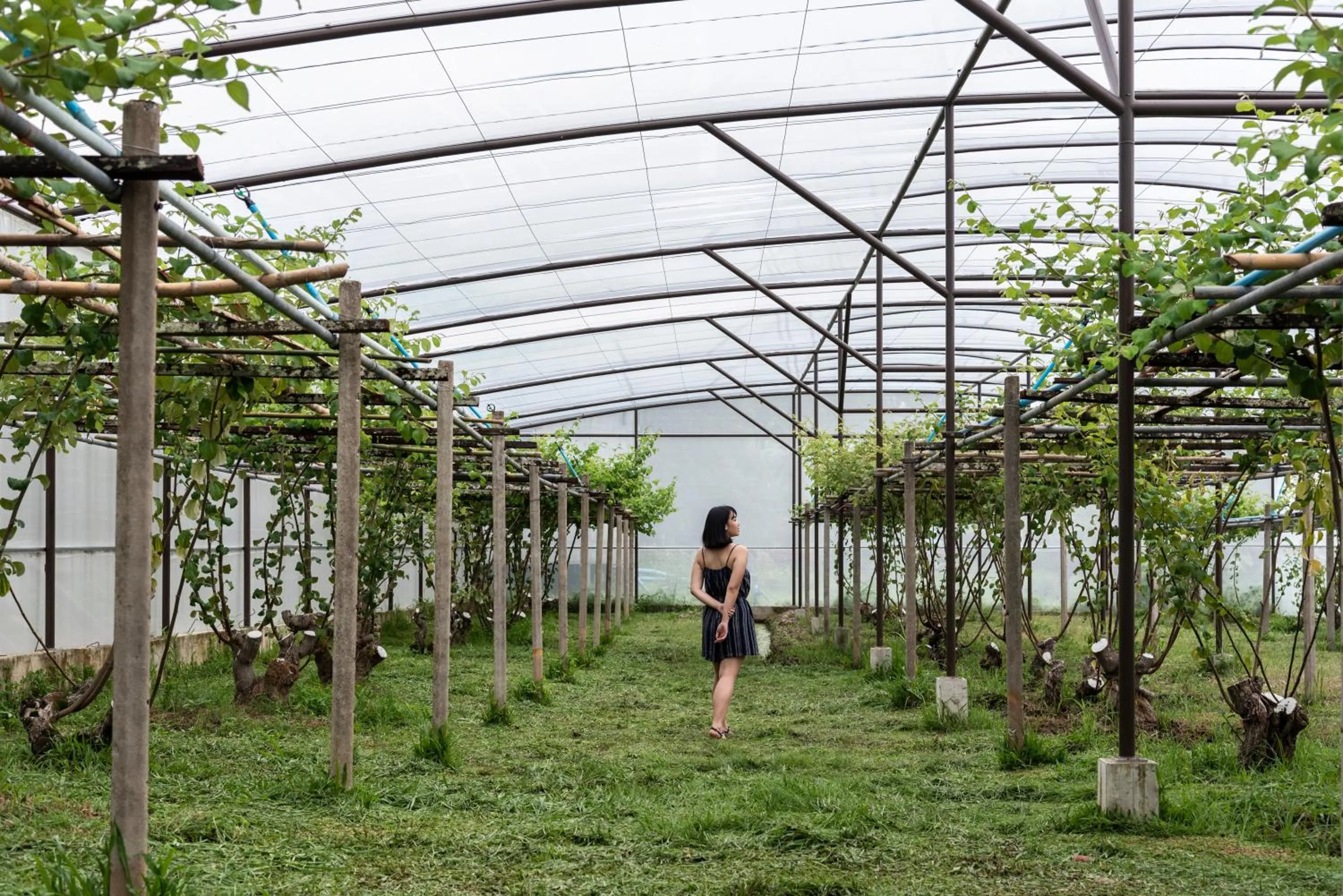 Garden in Bansaeo Garden and Resort