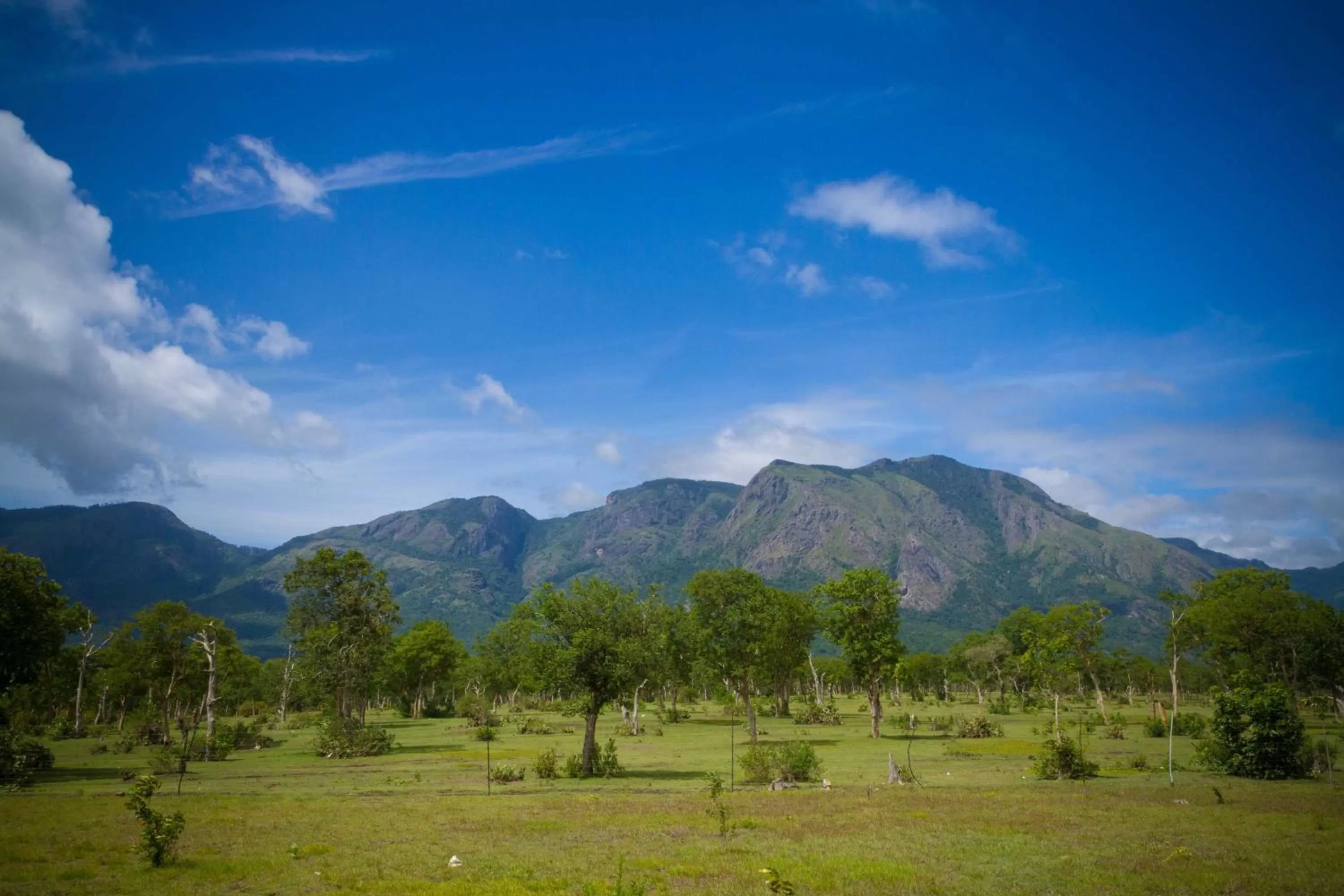 Nearby landmark in LABDHI RESORTS Stag Groups not allowed