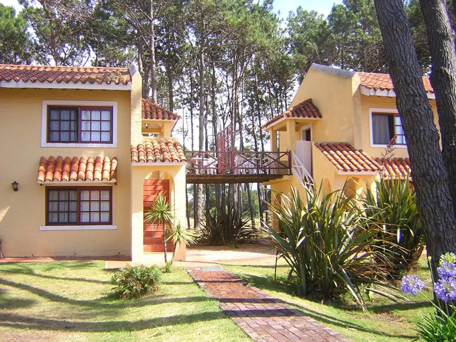 Garden view, Property Building in Pino Dorado