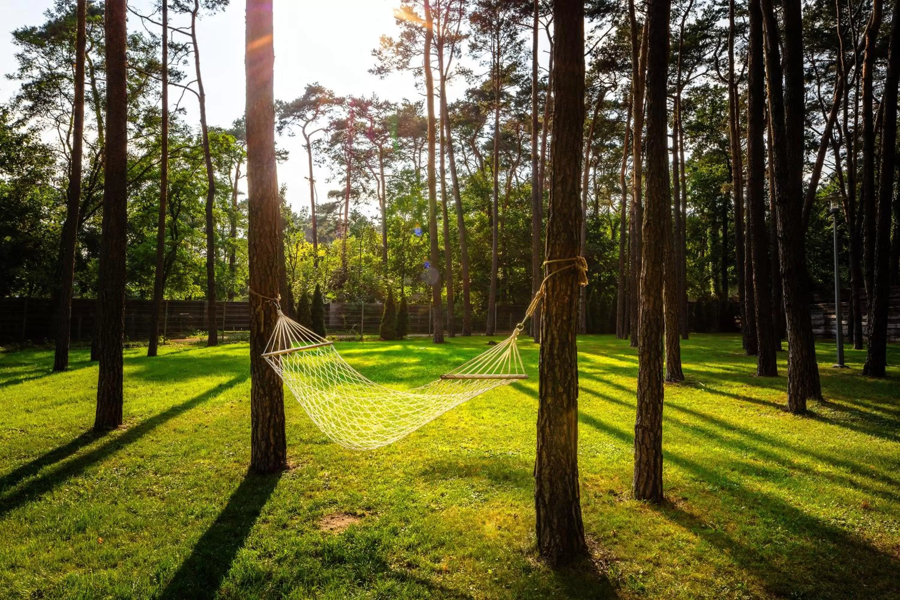 Spa and wellness centre/facilities in Columna Medica