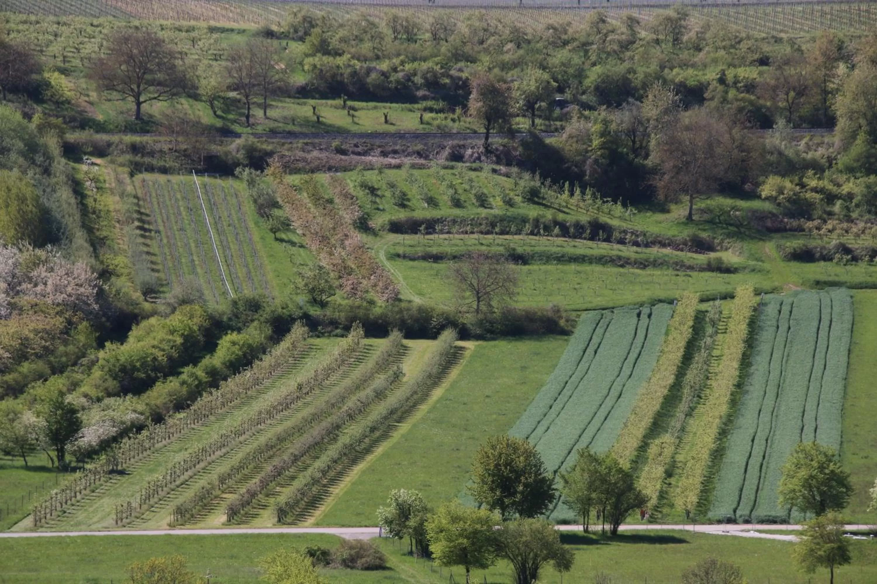 Hiking in Hotel am Torturm