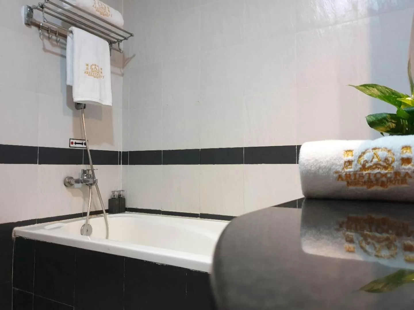 Shower in Aristocrat Residence & Hotel