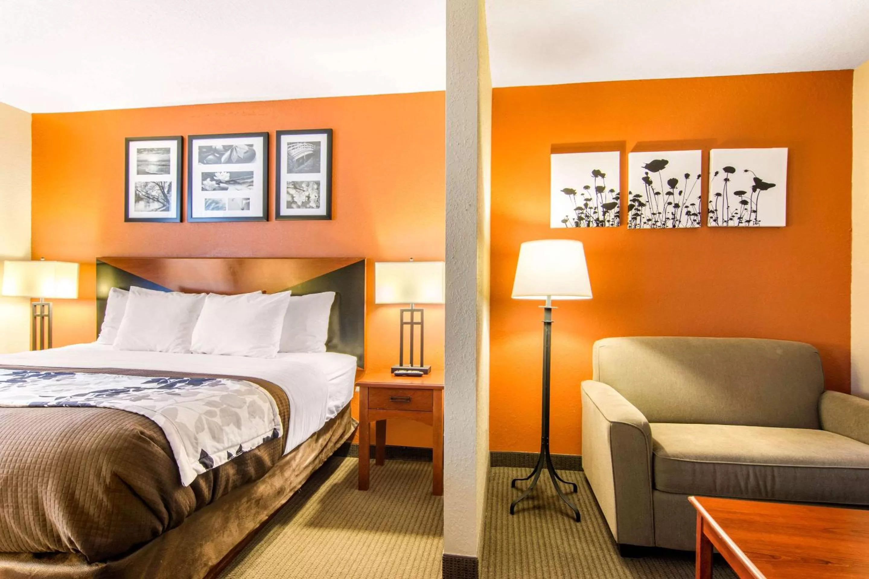 Photo of the whole room, Bed in Sleep Inn & Suites Athens South