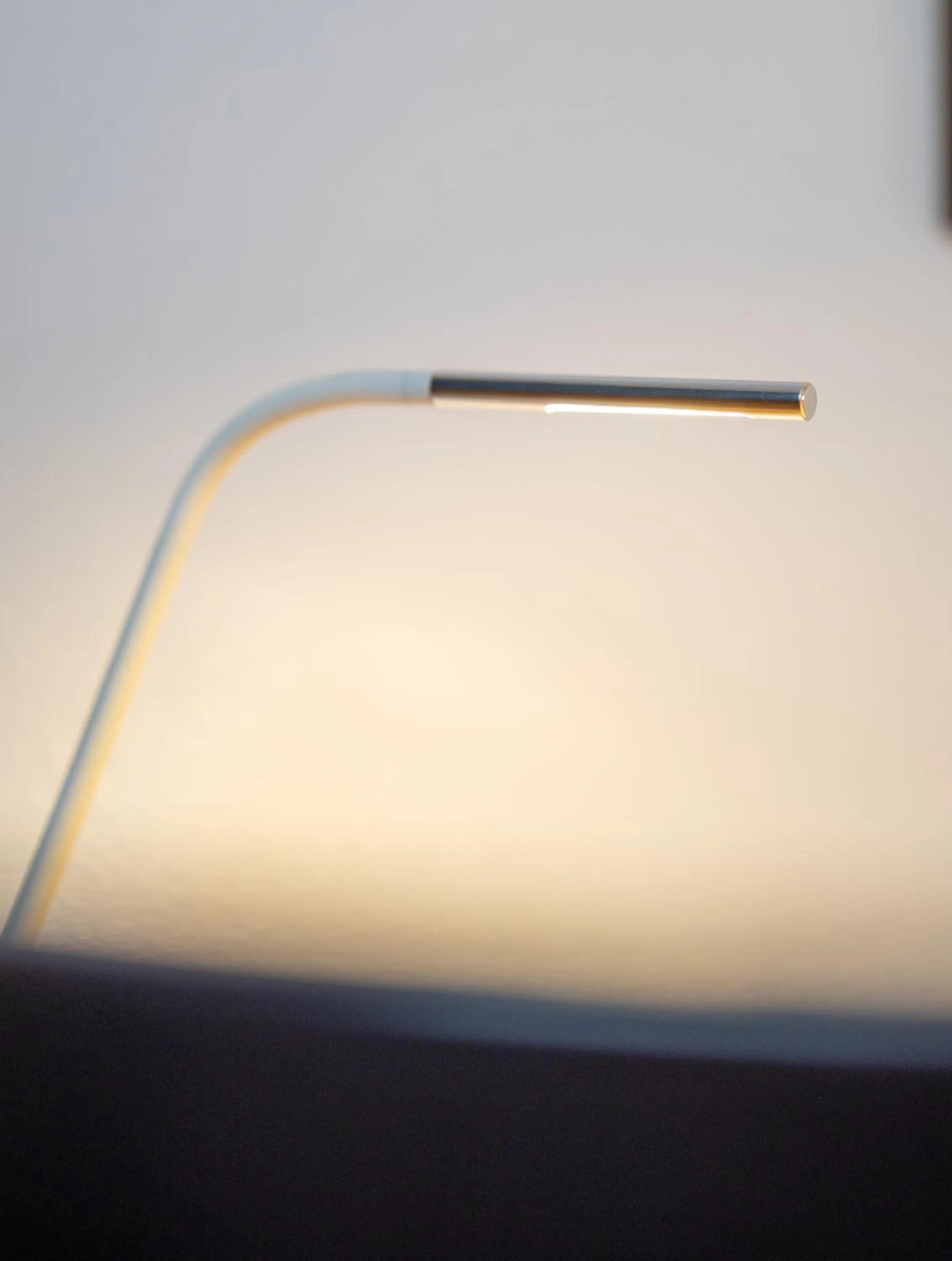 Decorative detail in Merian am Rhein