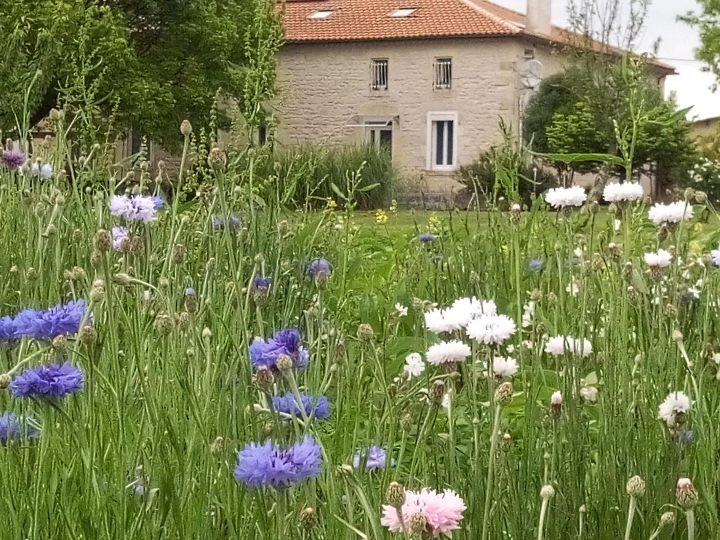Facade/entrance in Chambres d'Hôtes Château Pierre de Montignac