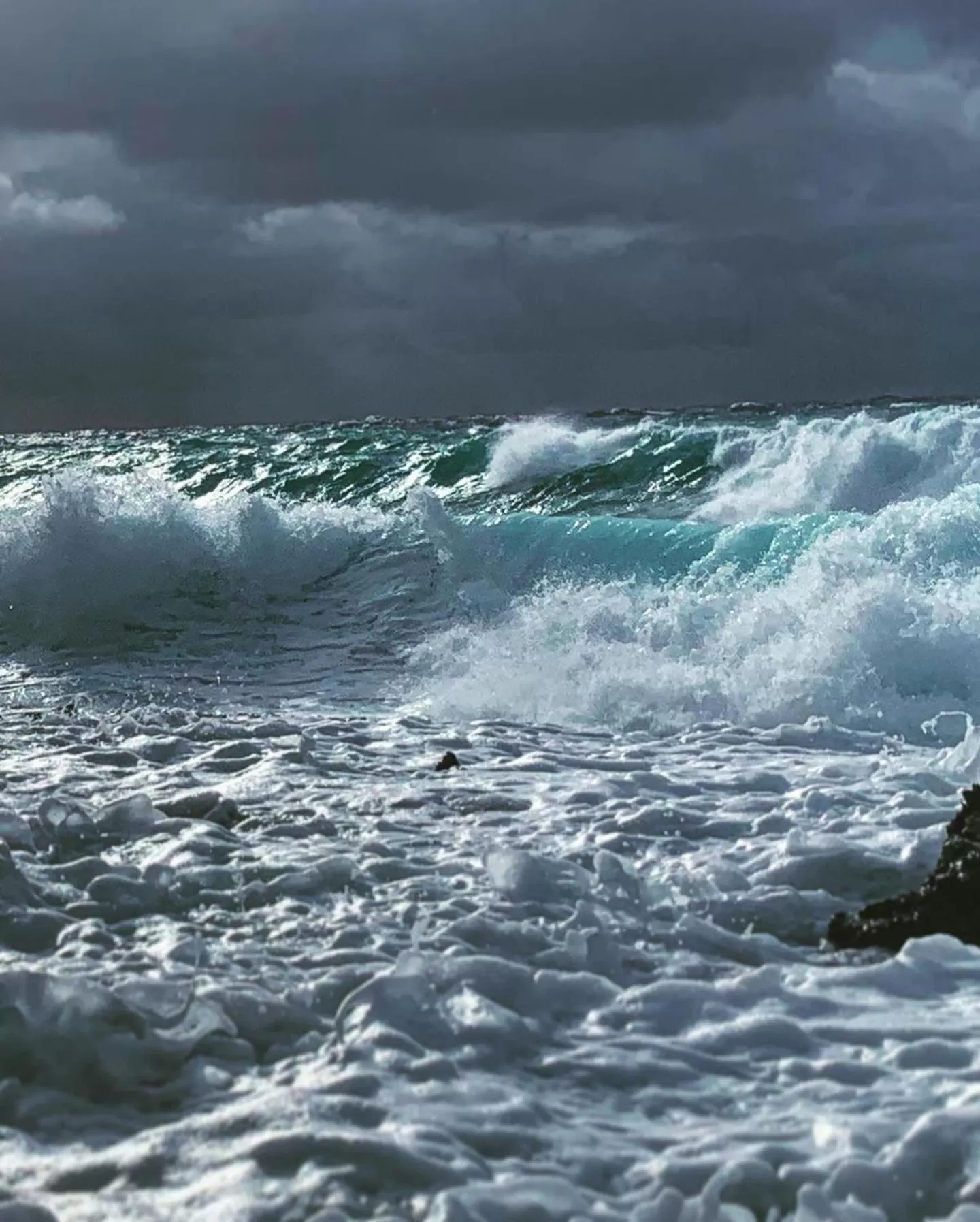 Natural landscape in In Di House of Reggae Boutique