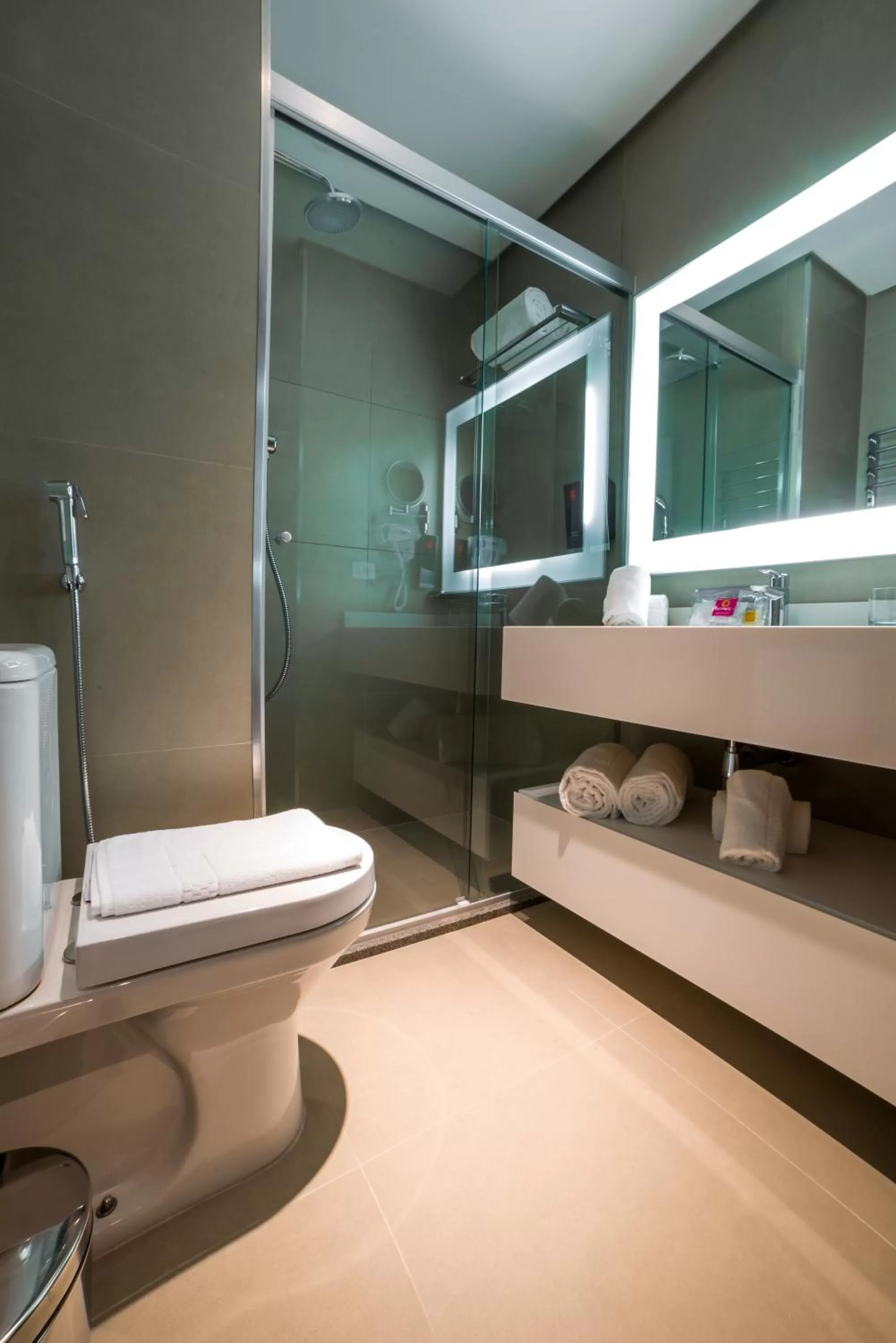 Bathroom in Mercure Sao Bernardo Do Campo