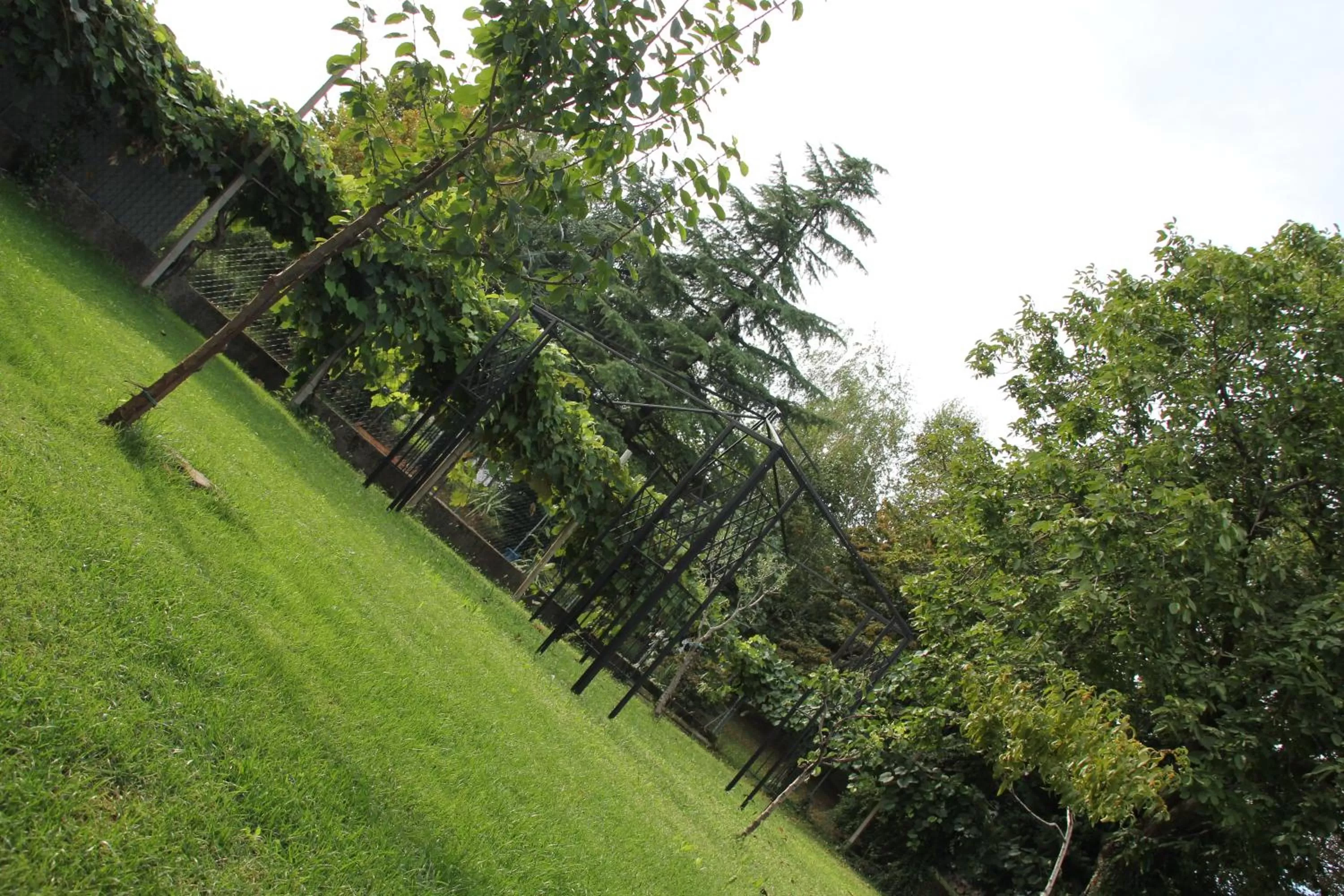 Property building, Garden in Casa Pellis