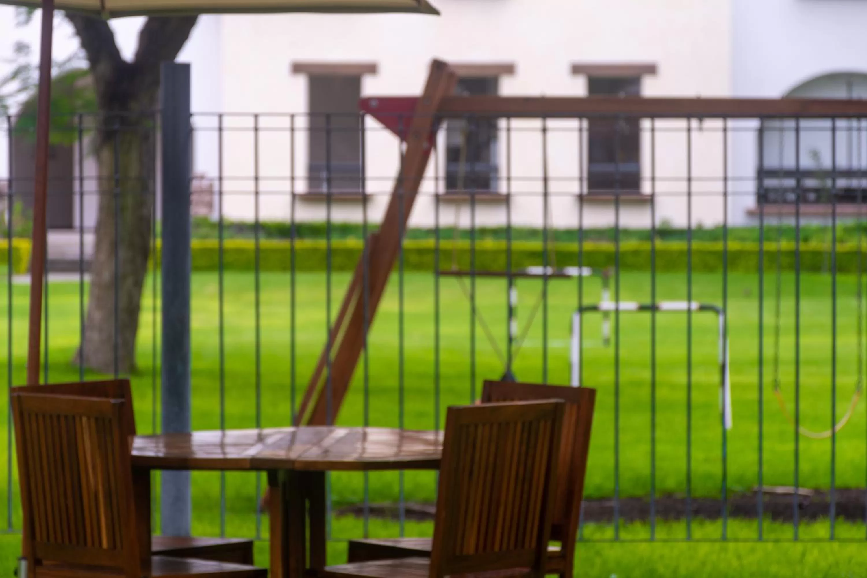 Garden in Hotel Flamingo Inn