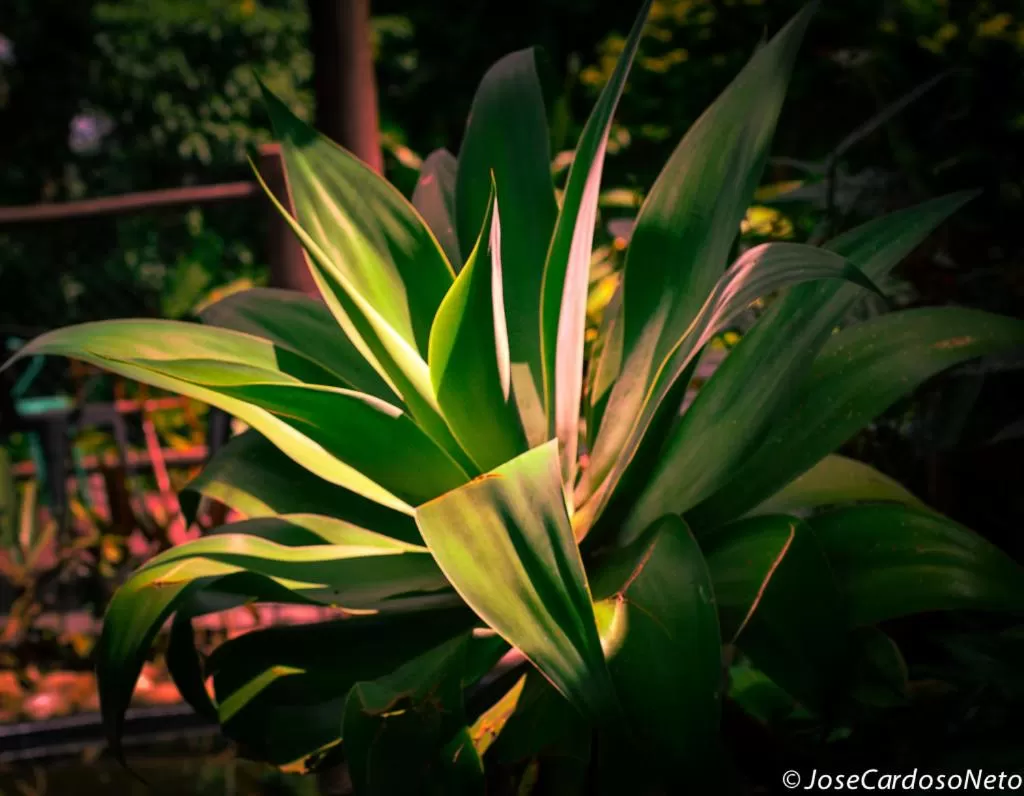 Pousada Vila Santa Barbara