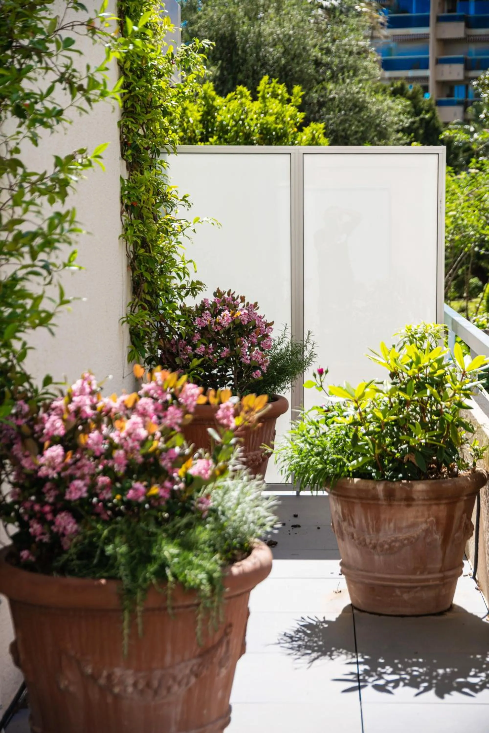 Balcony/Terrace in ibis budget Menton Bord de Mer