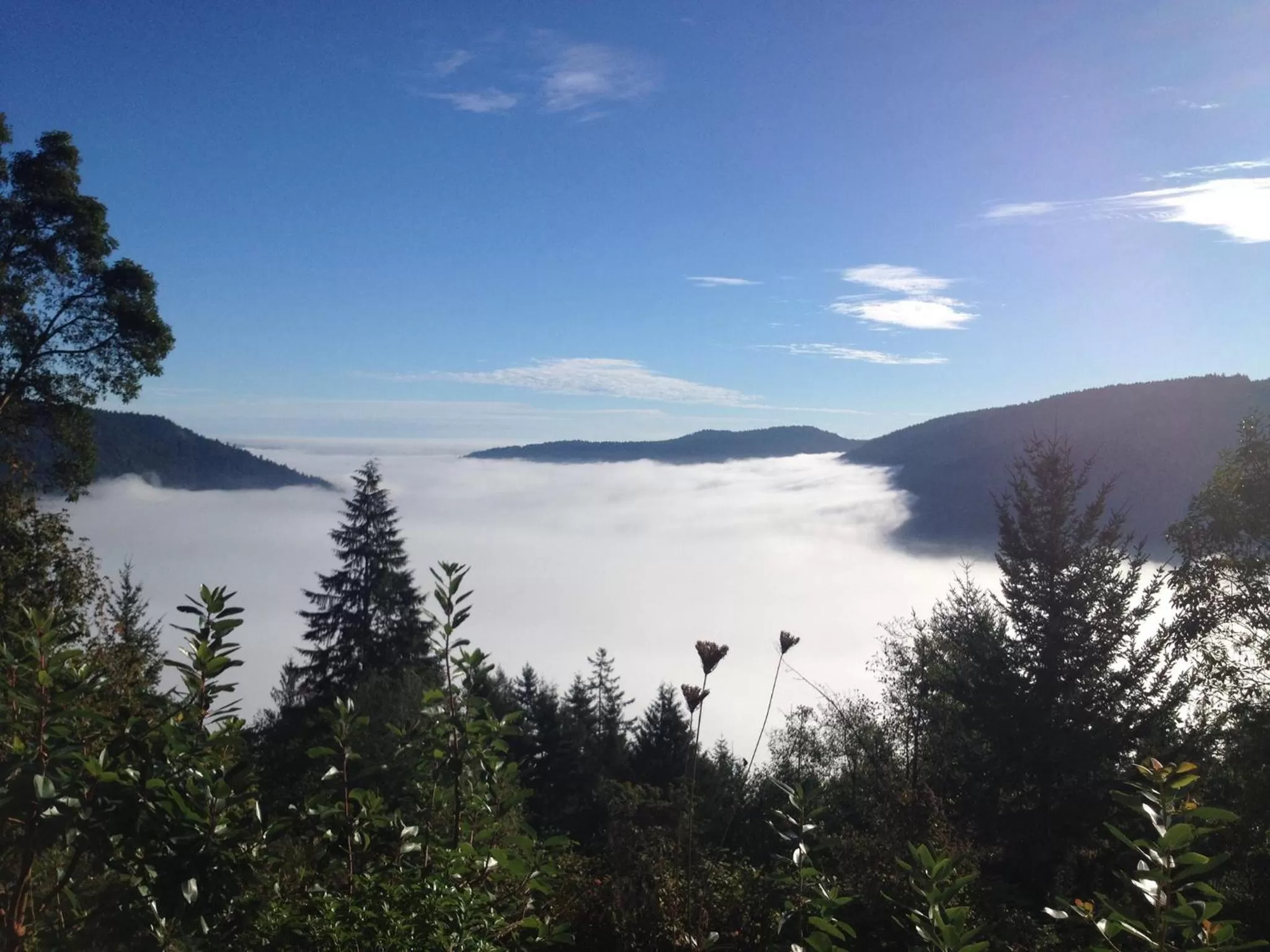 Natural landscape in Moon Water Lodge