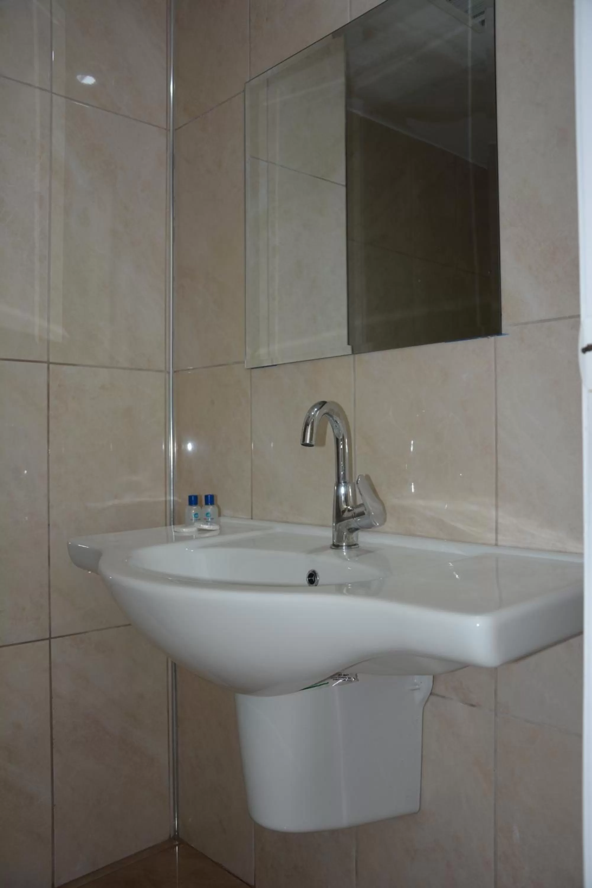 Toilet, Bathroom in Asena Hotel