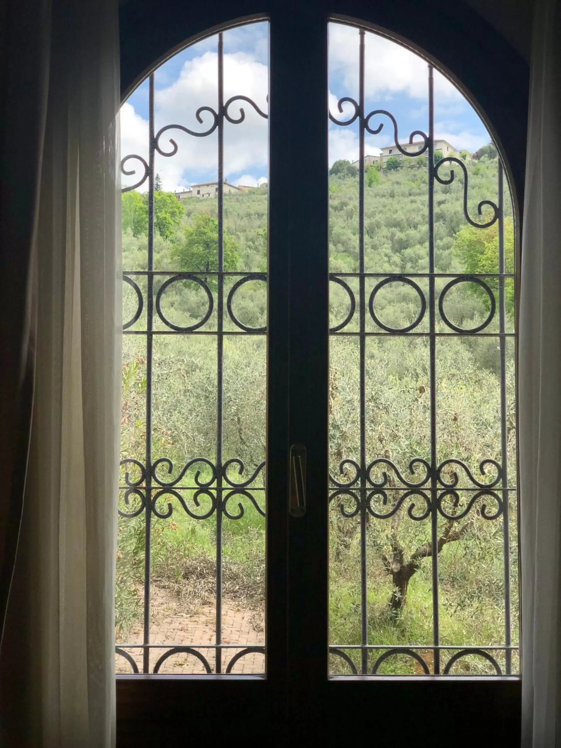 Garden view in Poggio Degli Olivi