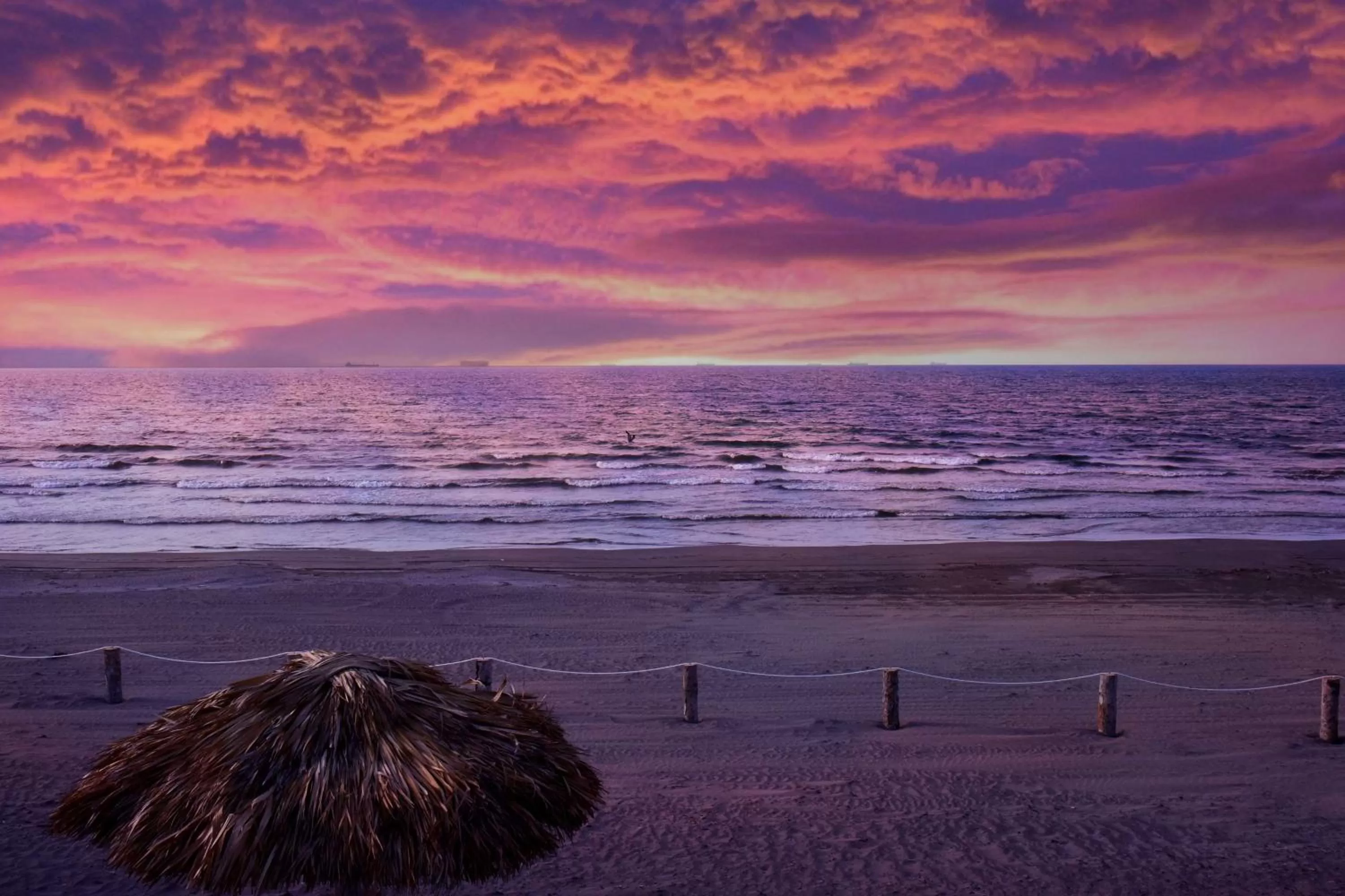 Beach in Best Western Plus Riviera Veracruz