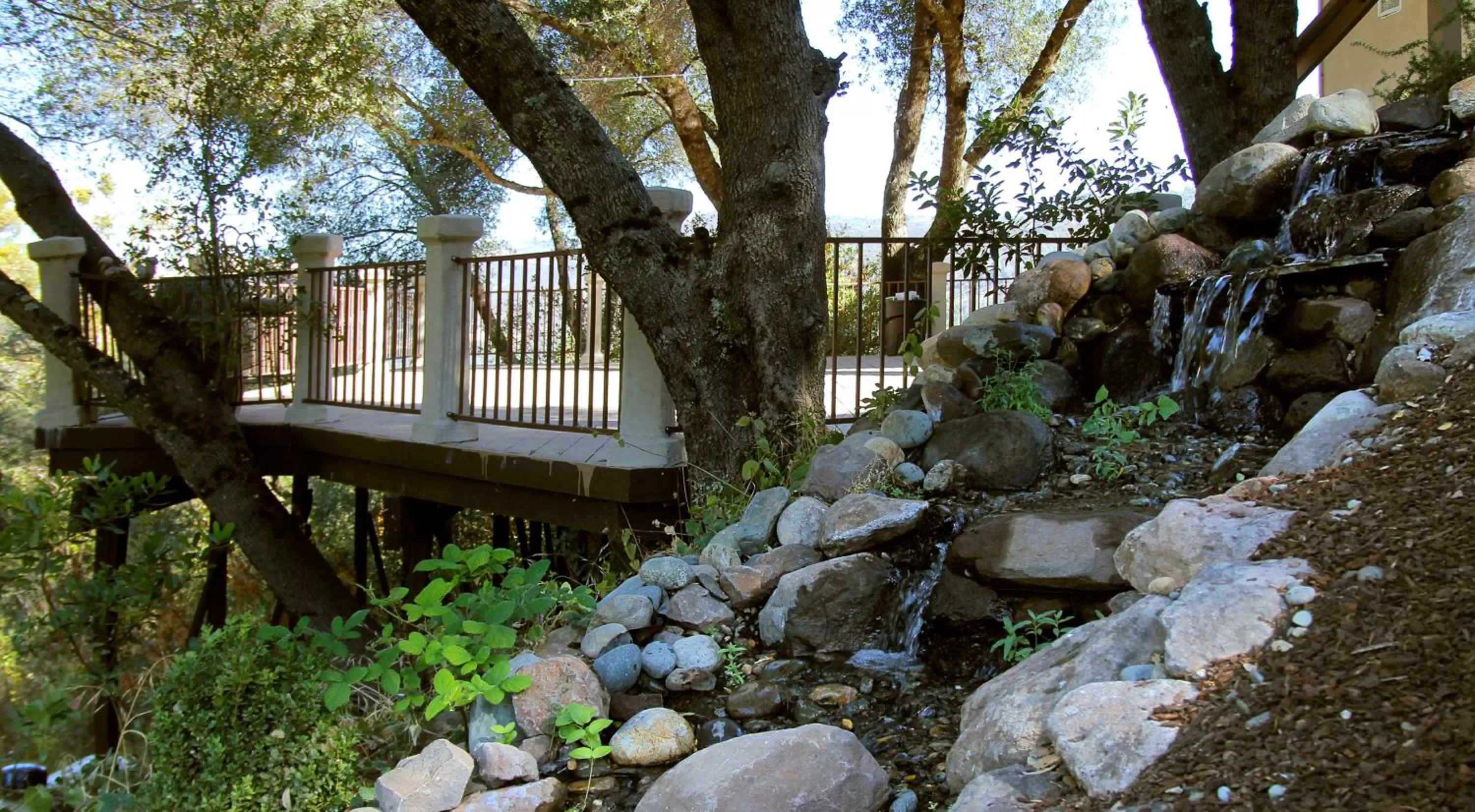 Garden in Bella Vista Bed and Breakfast