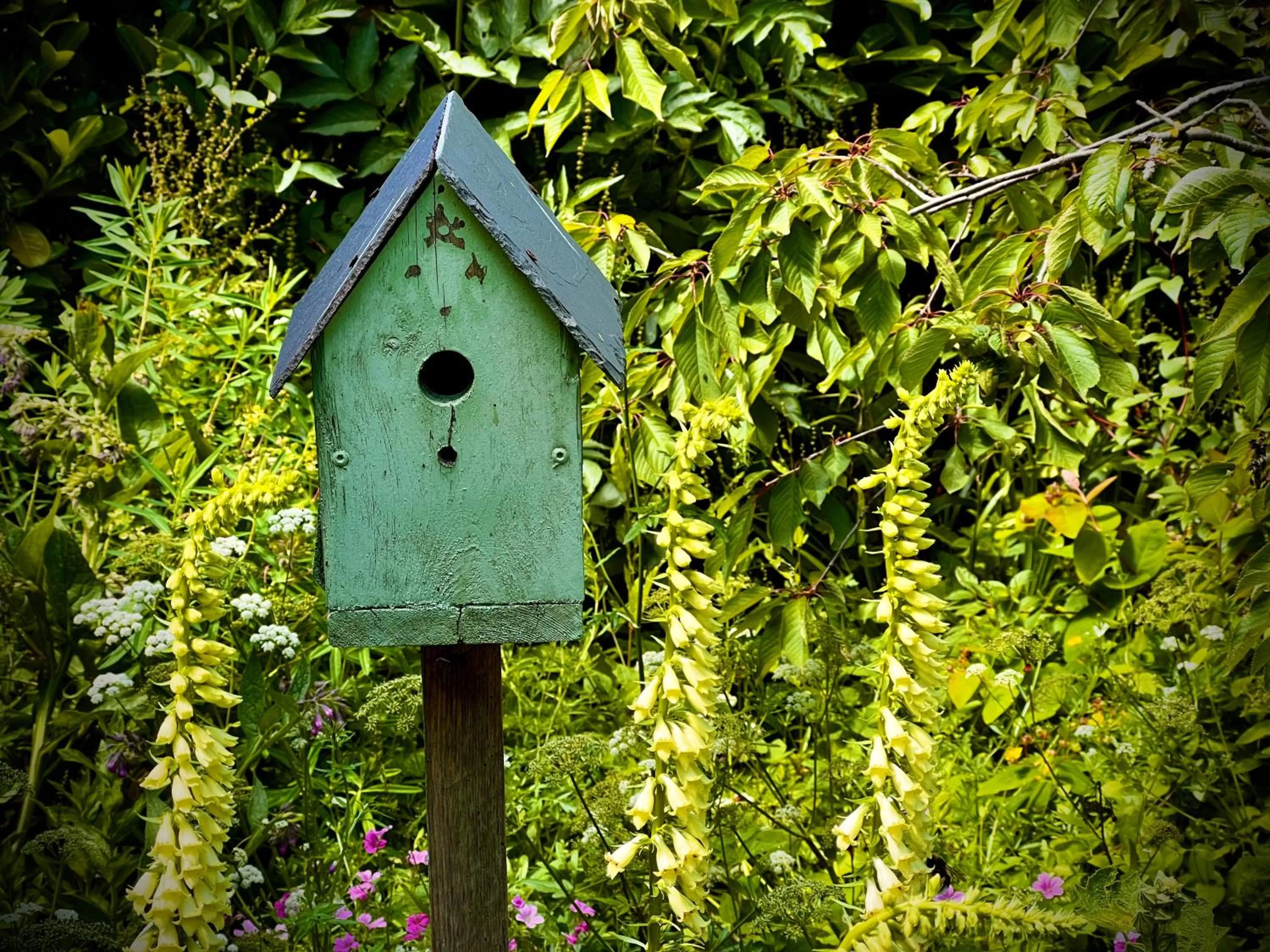 Garden in Home Farm Bed & Breakfast