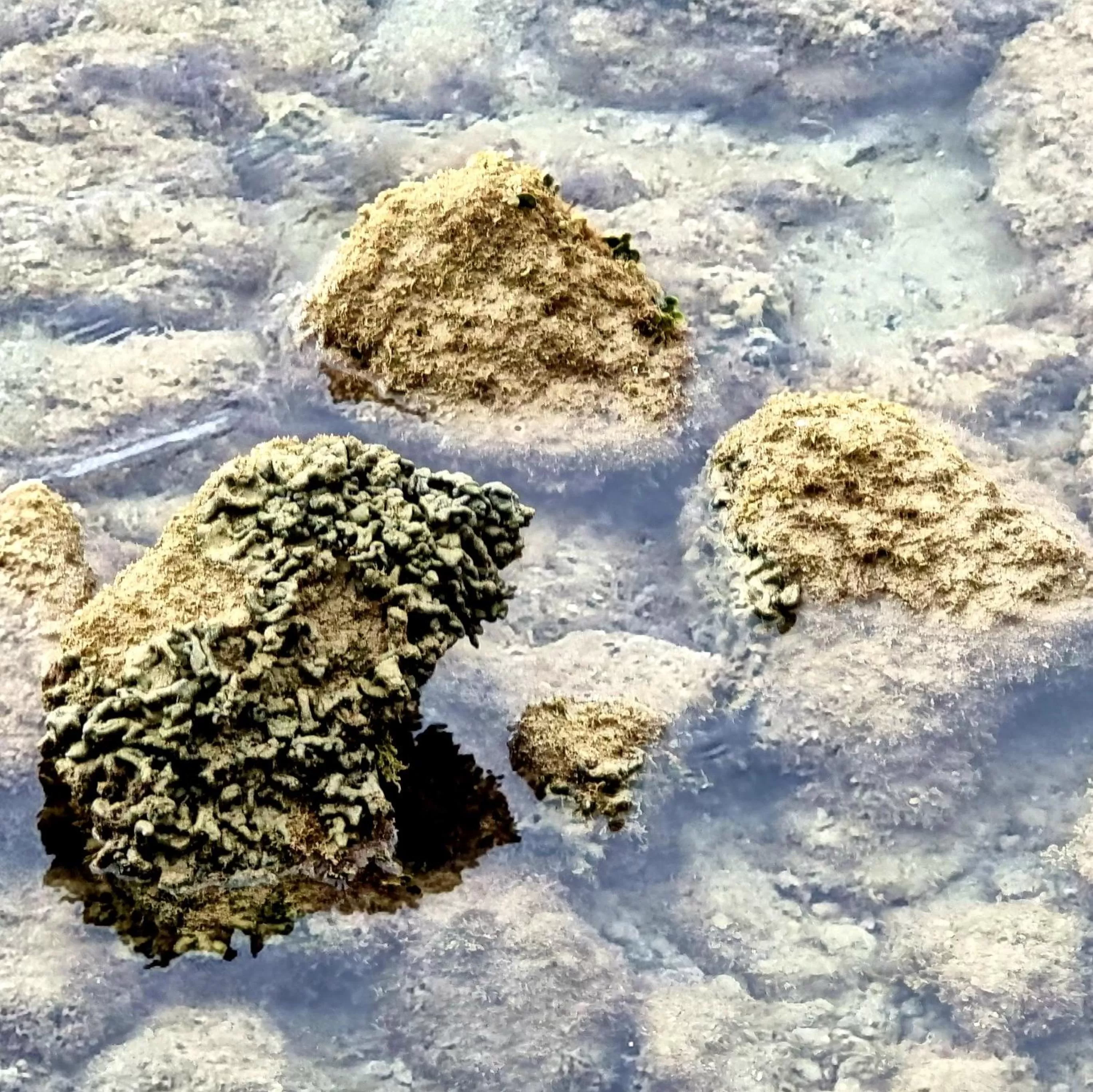 Nearby landmark in Hotel Miramar