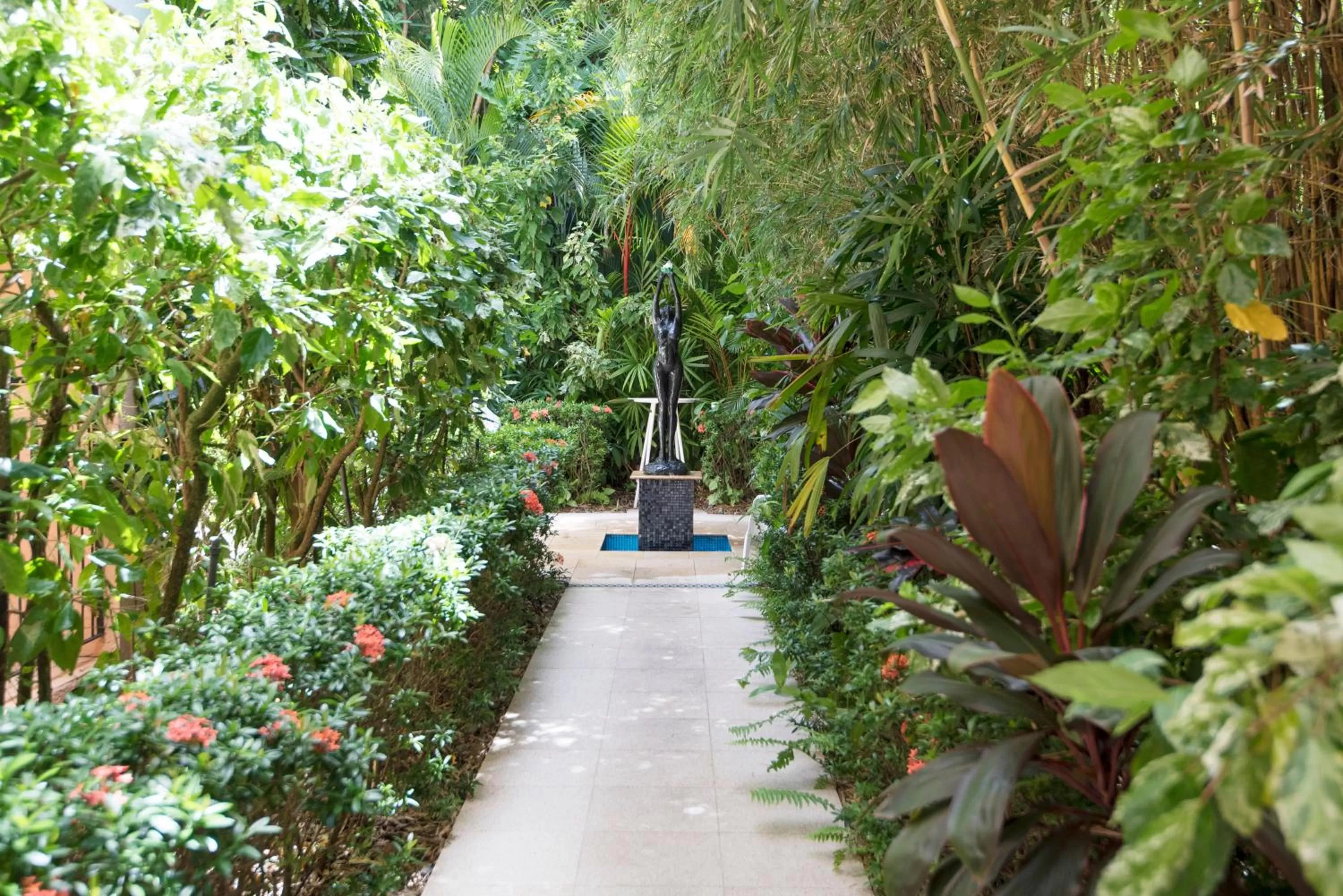 Garden in Martinique On Macrossan