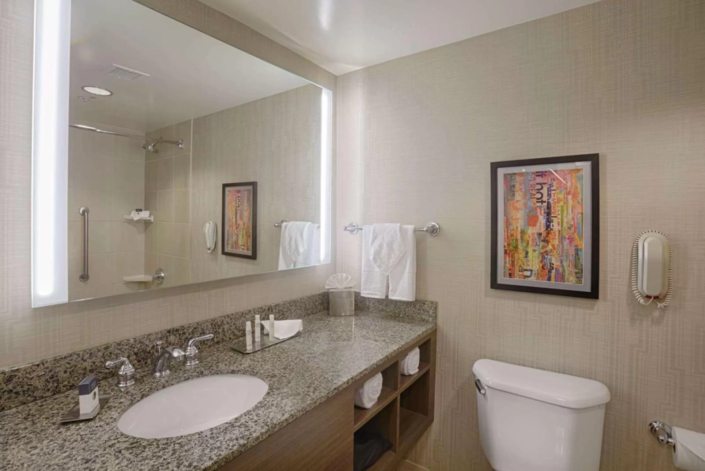 Toilet in DoubleTree by Hilton San Francisco Airport North Bayfront