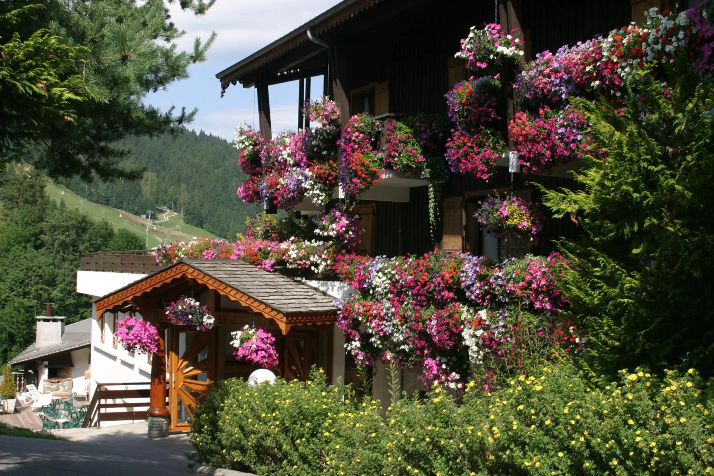 Facade/entrance in Hotel le Petit Dru