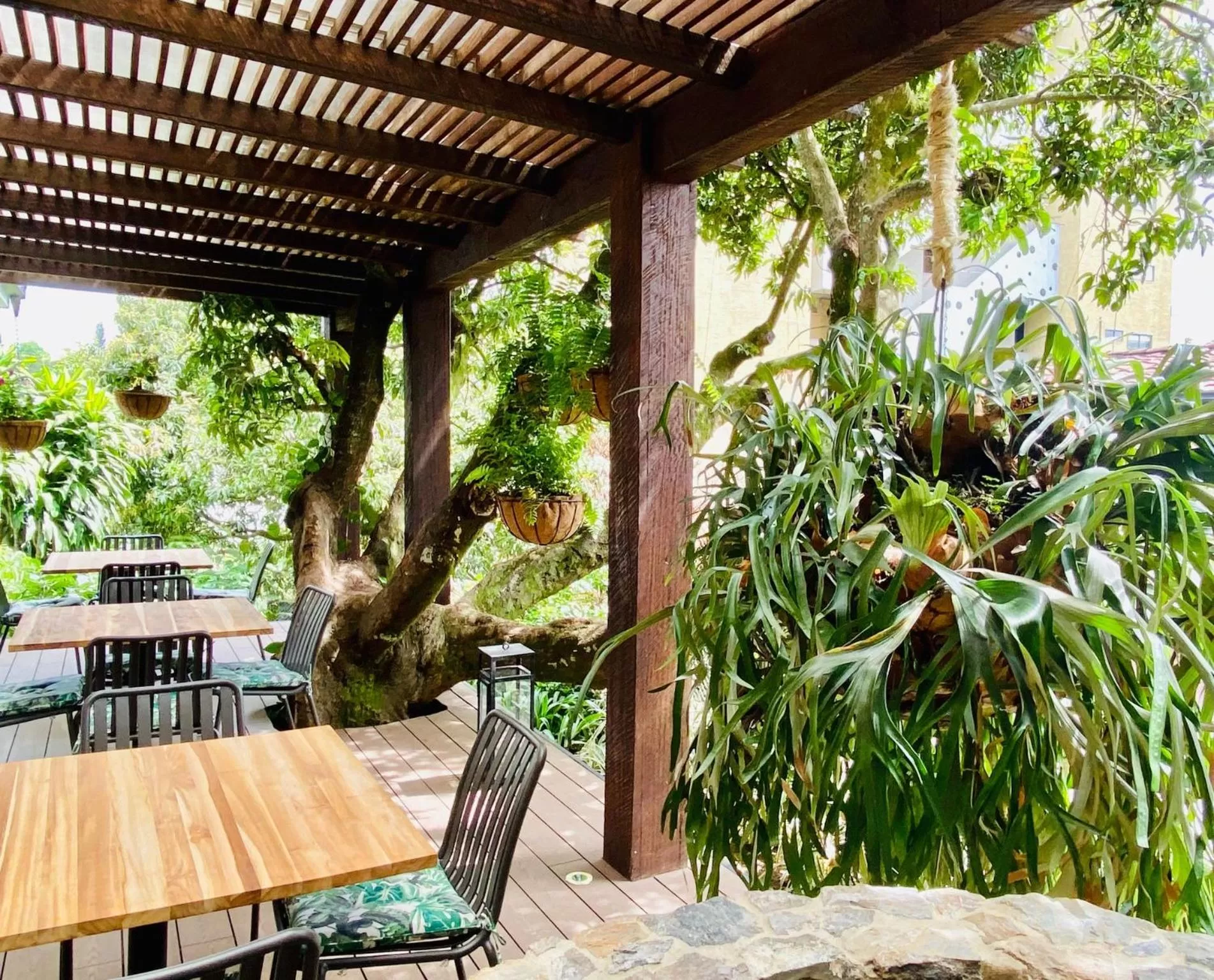 Patio in Patio del Mundo