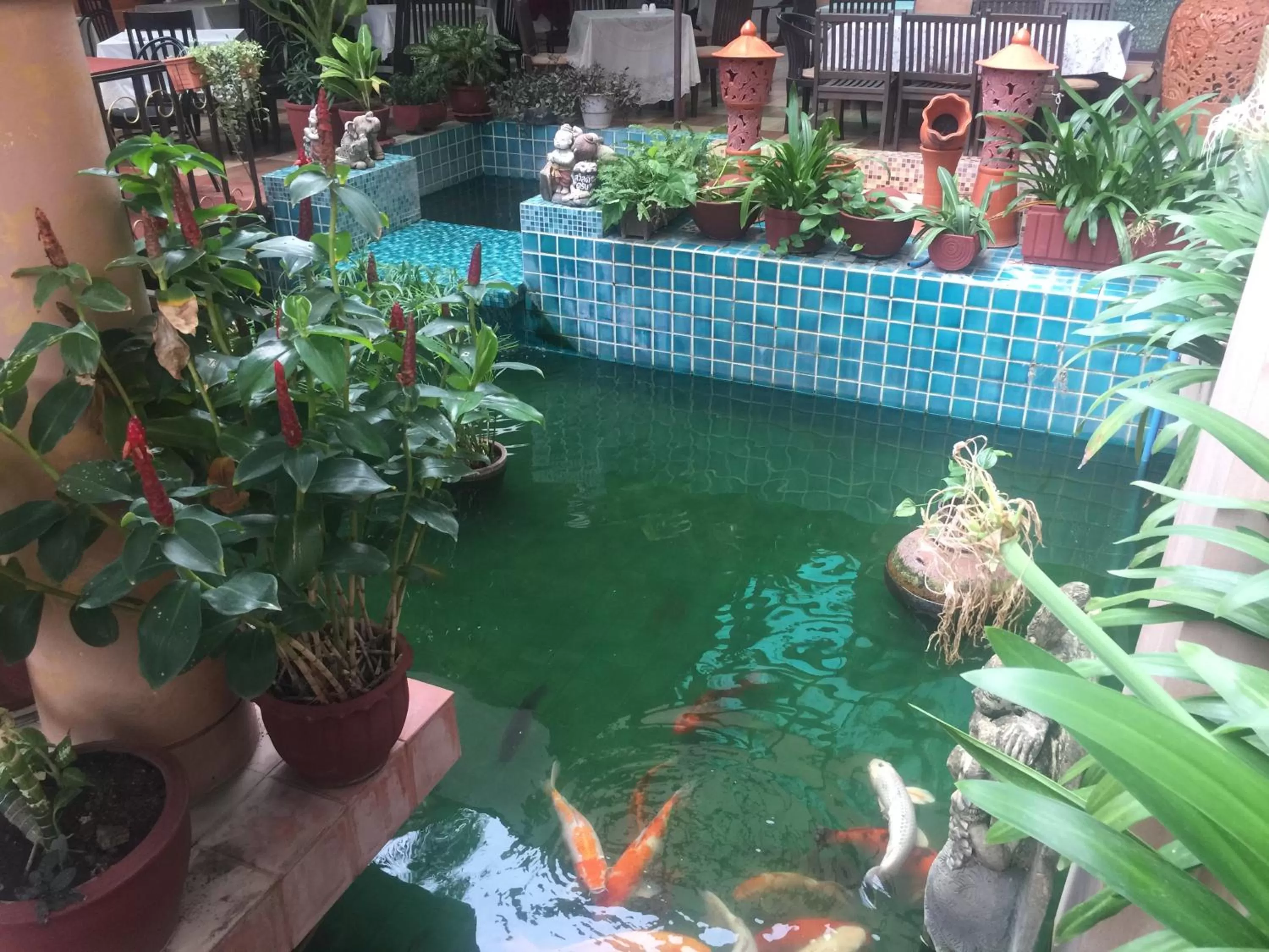 Animals in Wannara Hotel Hua Hin