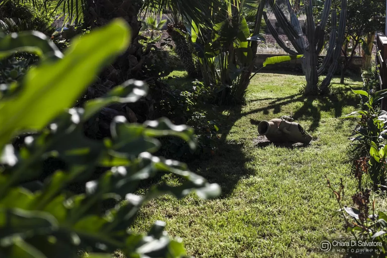 Garden in B&B Villa Francesco