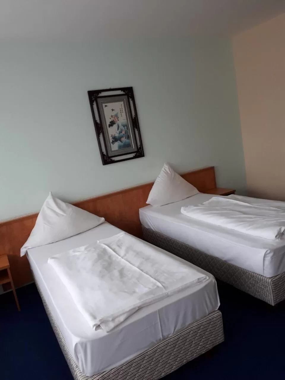 Twin Room in Hotel Am Flughafen