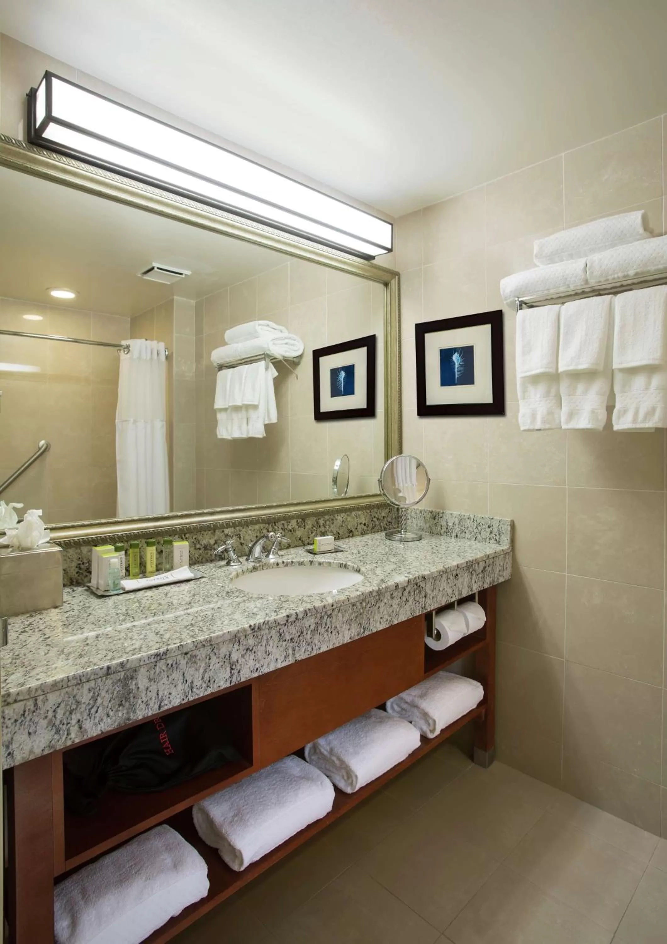 Bathroom in DoubleTree by Hilton Hotel Miami Airport & Convention Center