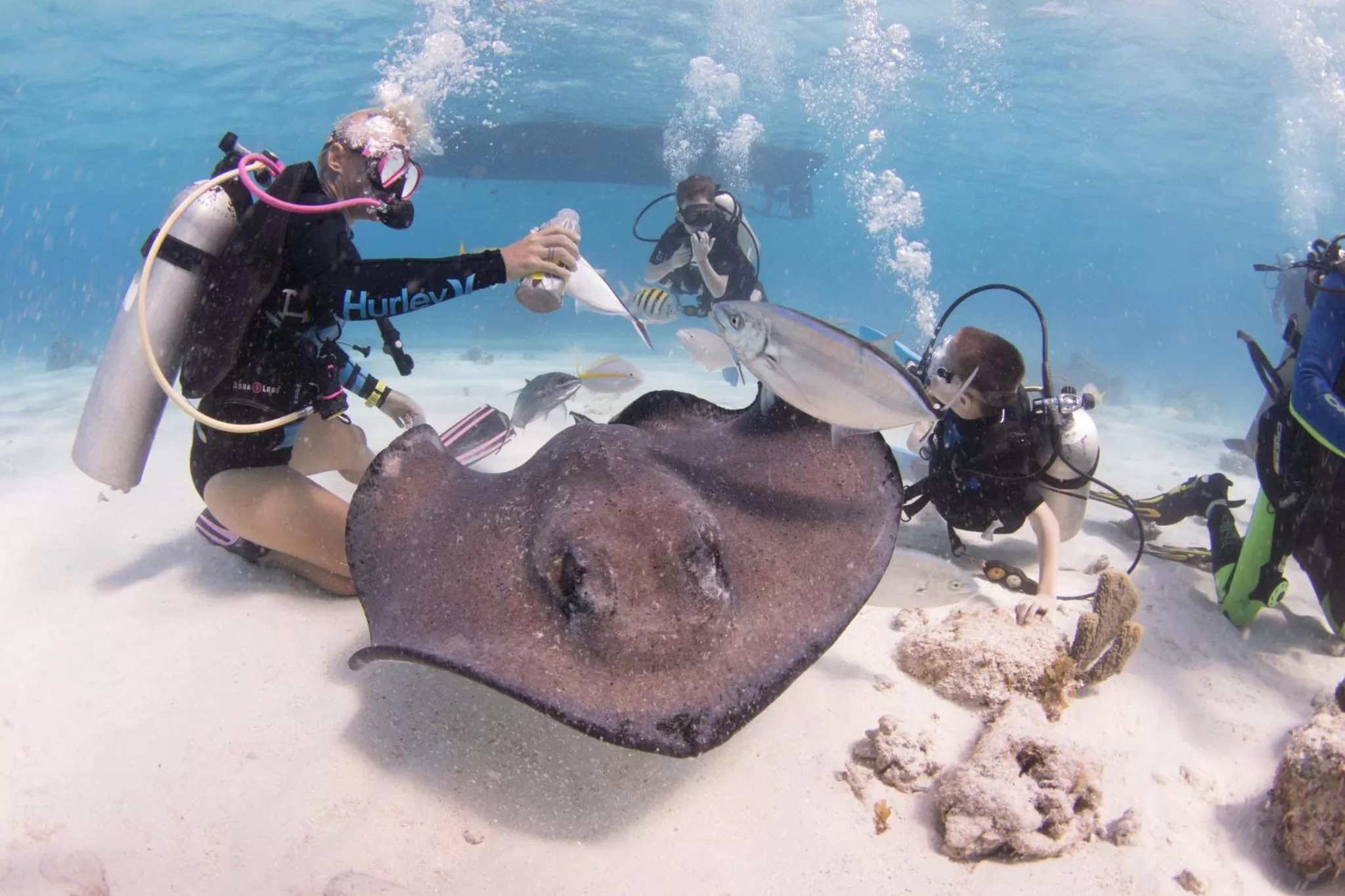 Nearby landmark in Holiday Inn Resort Grand Cayman by IHG