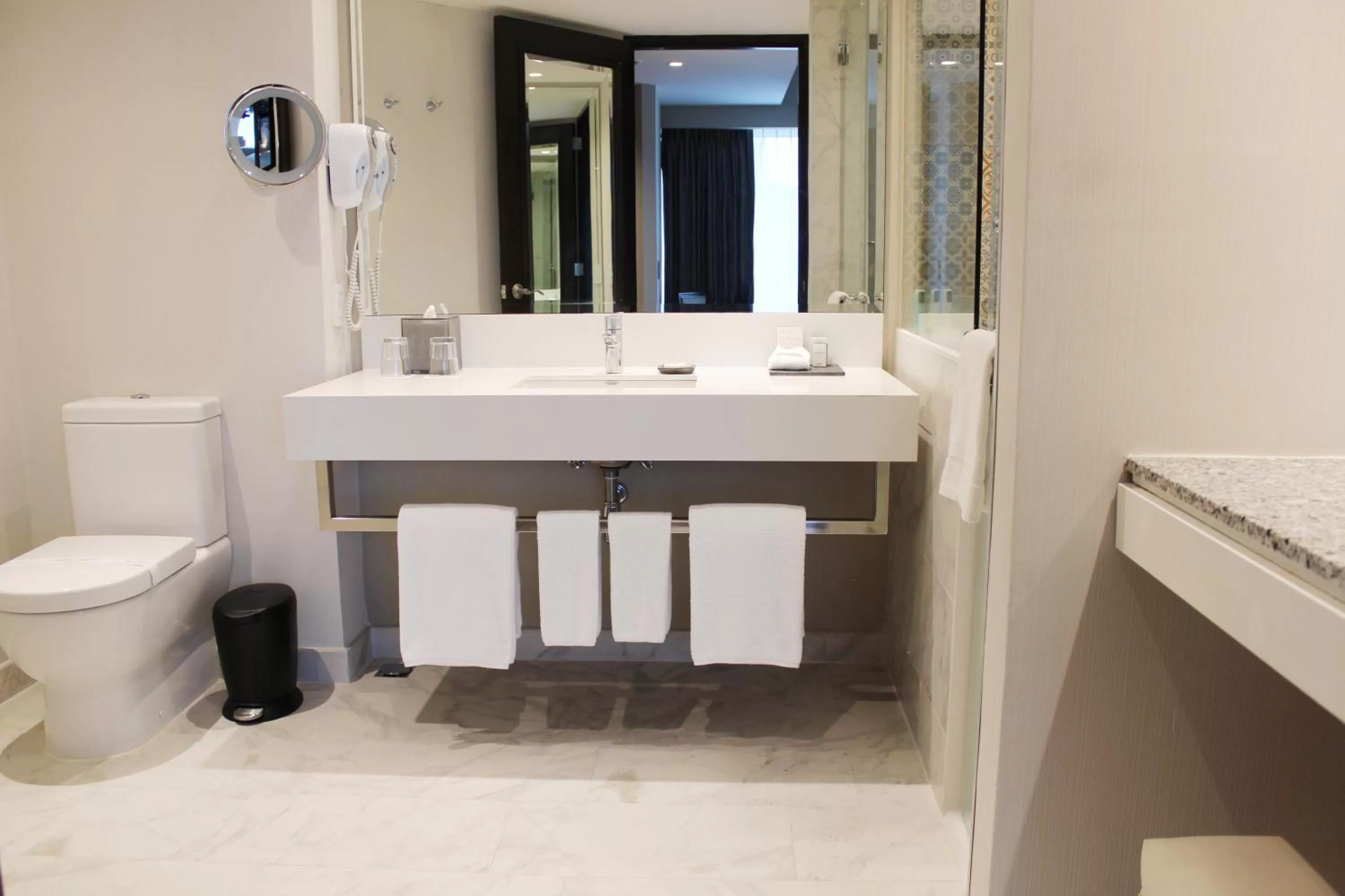 Toilet in Barceló Mexico Reforma