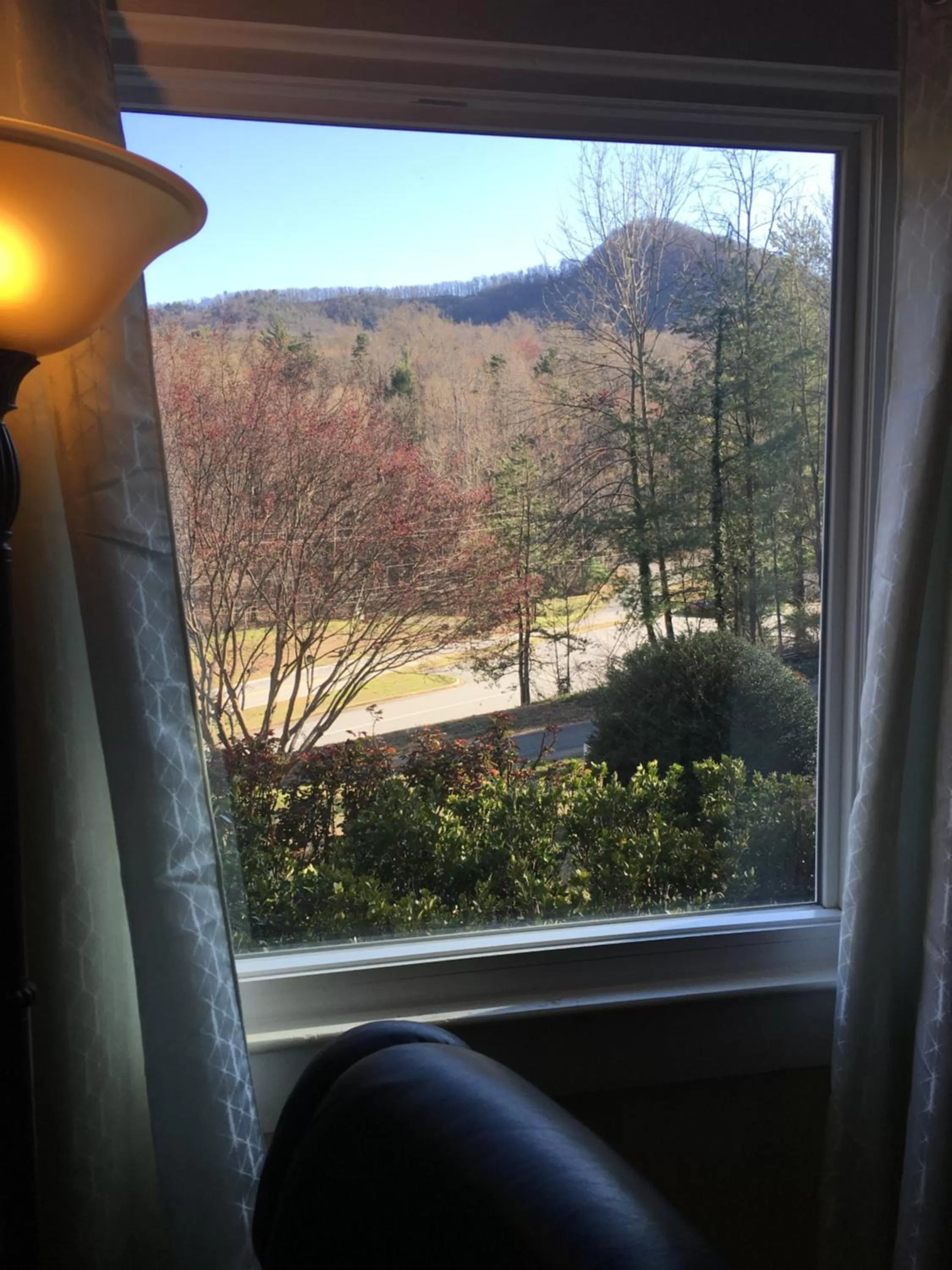 Mountain view in Grafton Lodge