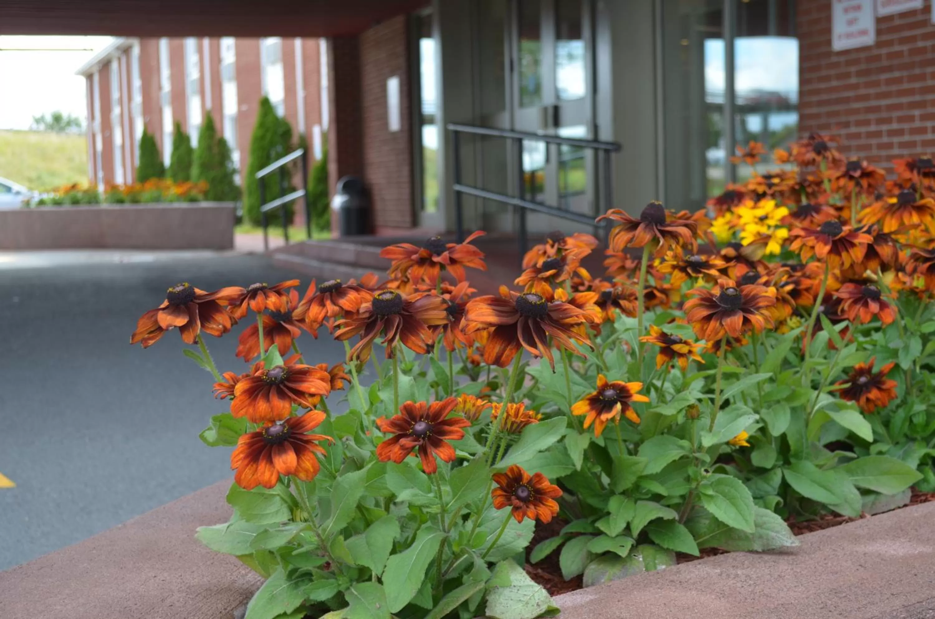 Facade/entrance in Mount Peyton Resort & Conference Centre