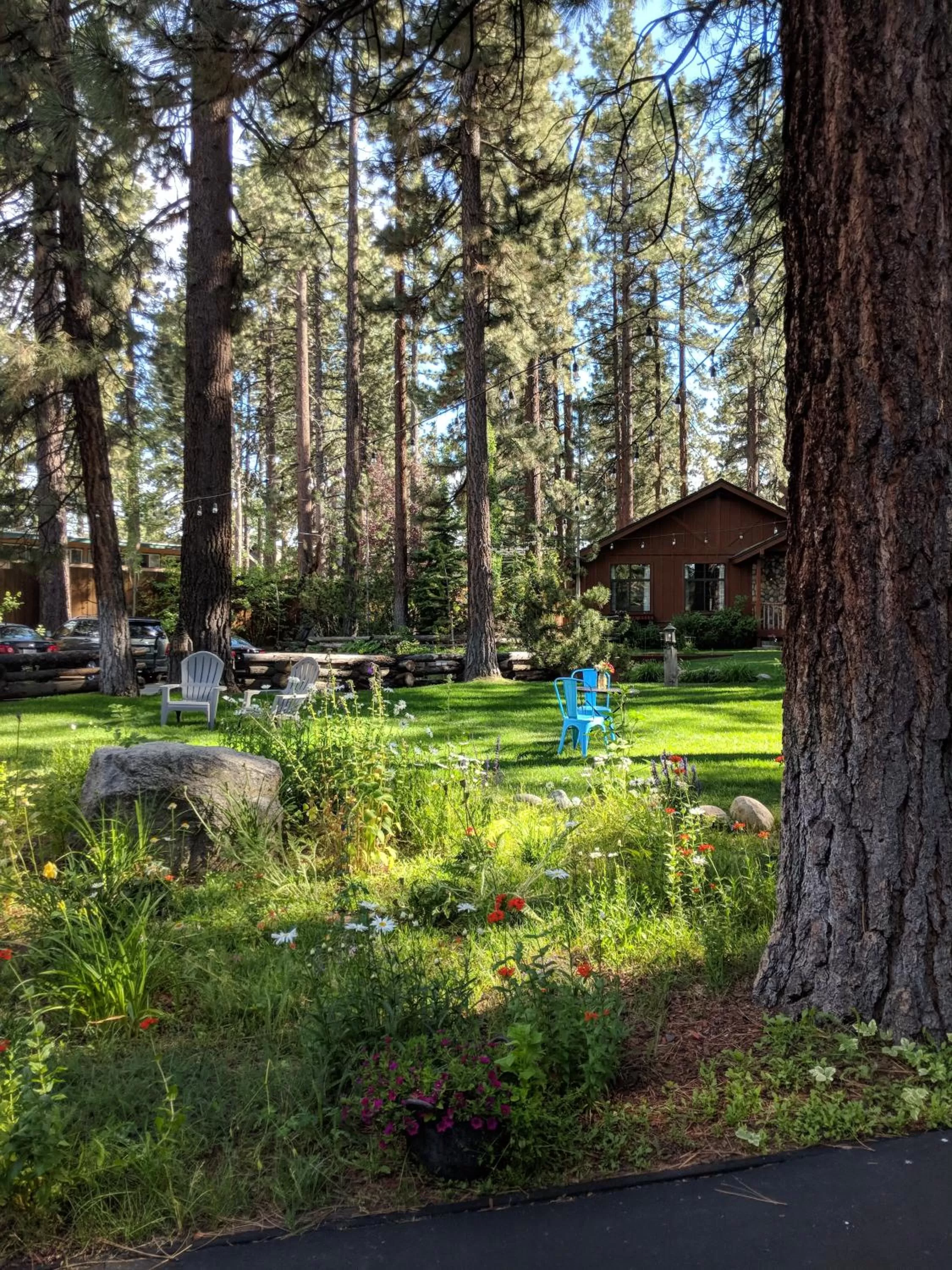 Summer in Black Bear Lodge