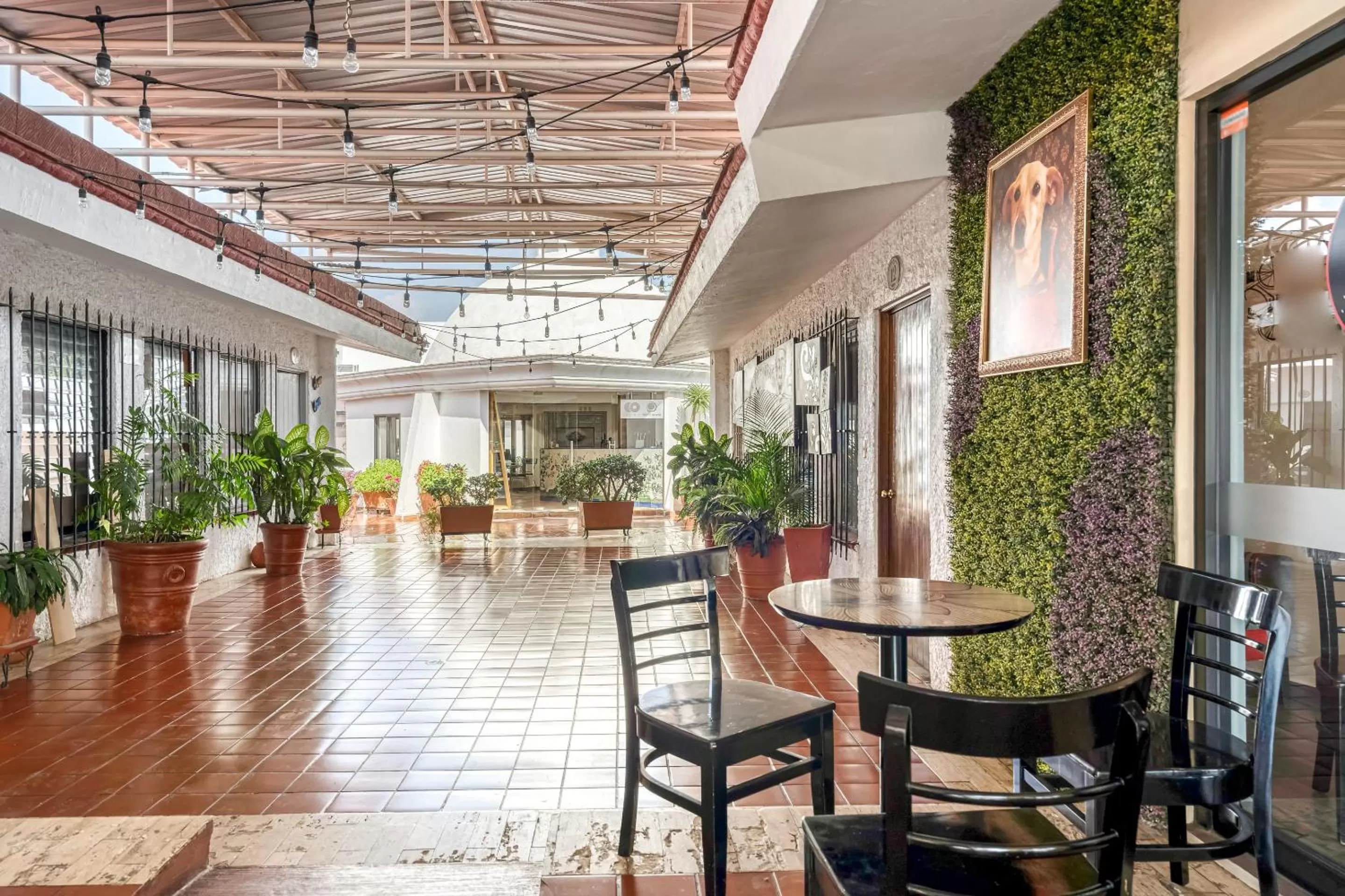 Other in Hotel Arana