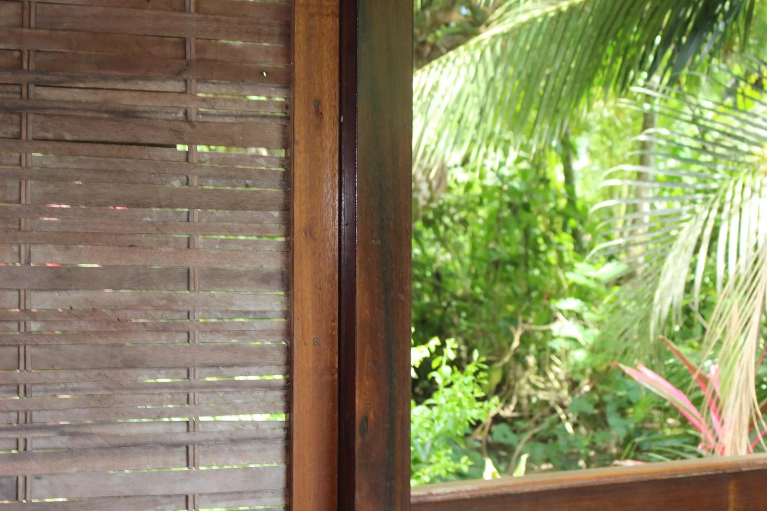 Patio, Balcony/Terrace in Acajou Hotel