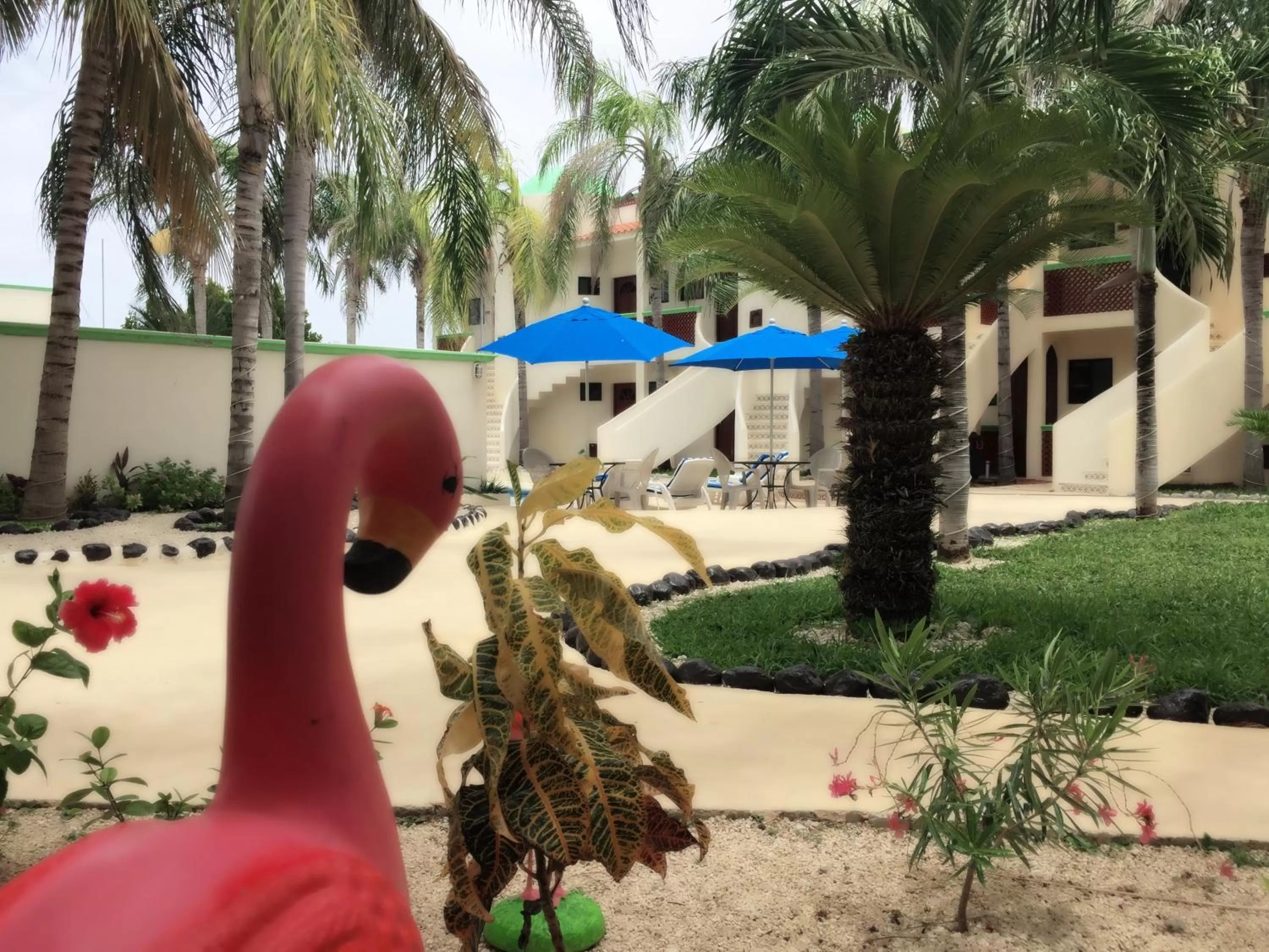 Property building in Villas Coco Resort - All Suites