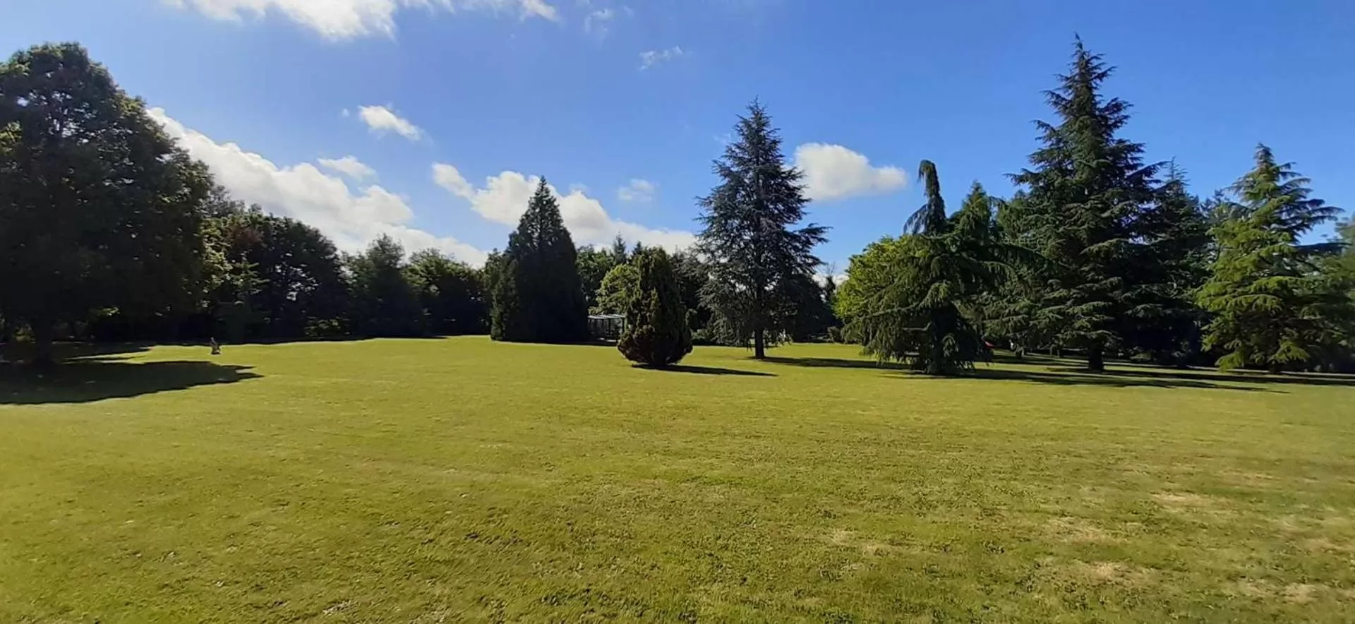 Garden in A l'Orée du Parc