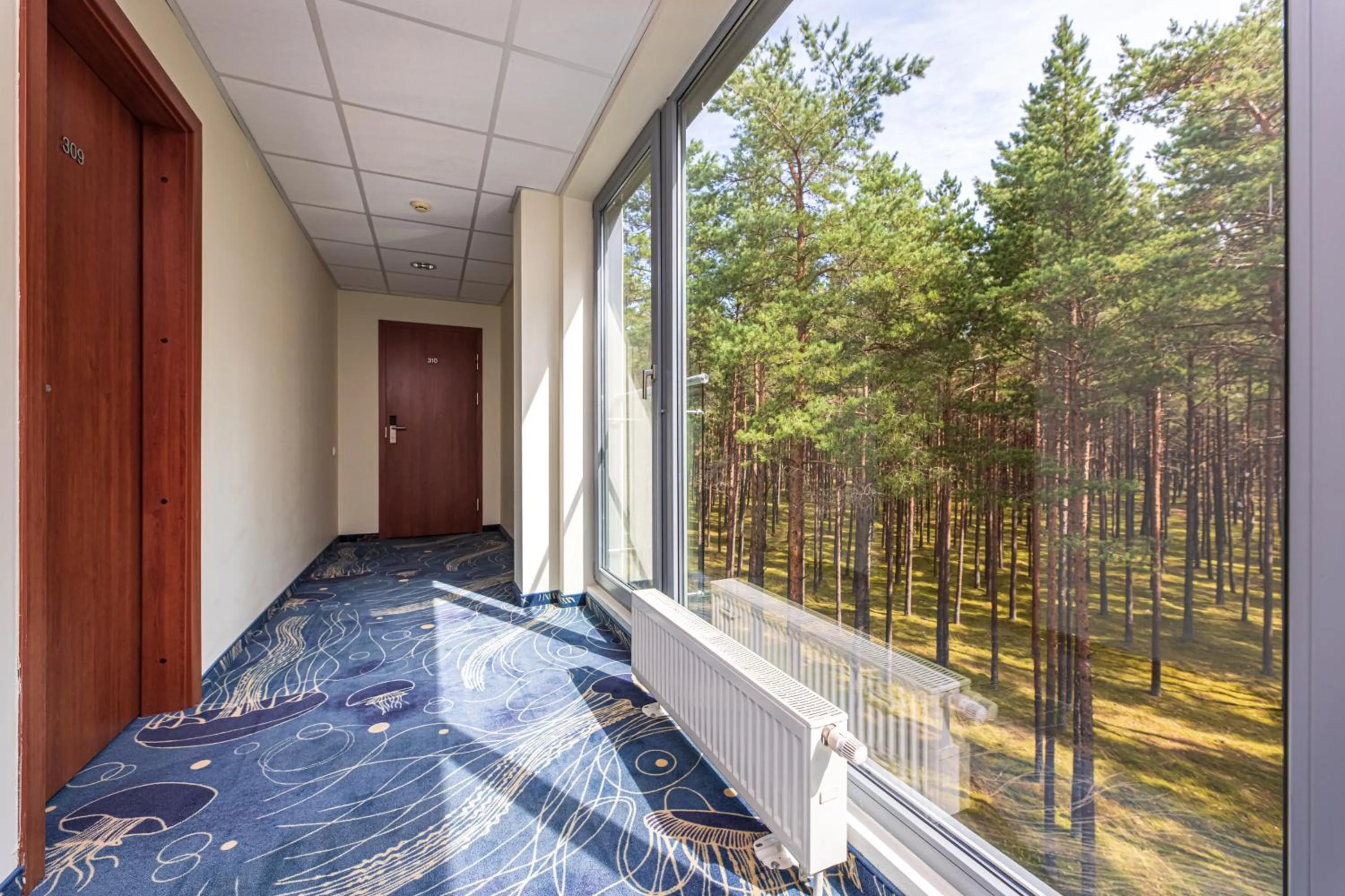 Natural landscape in Meduza Hotel