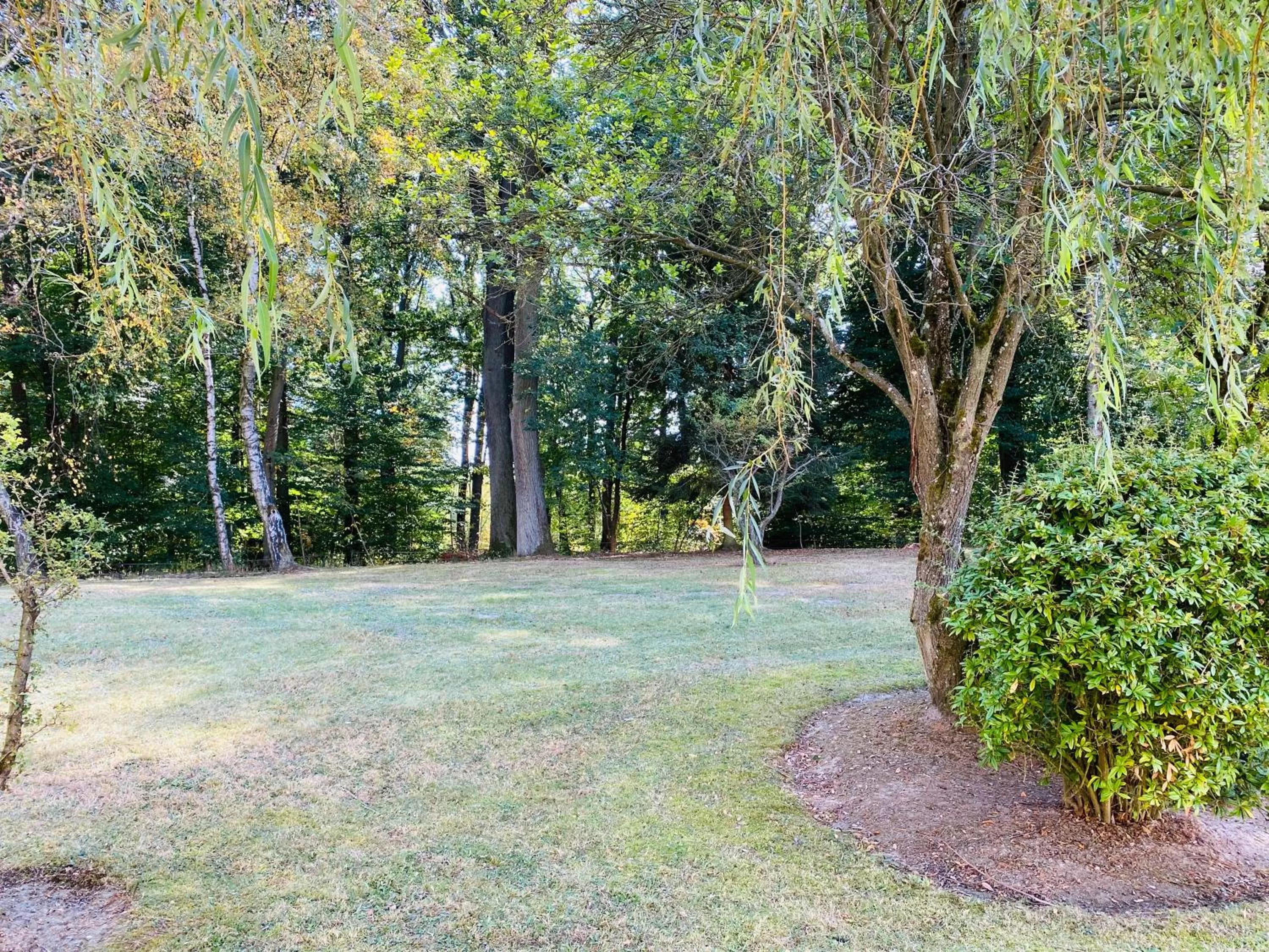 Natural landscape in Novotel Saint Avold