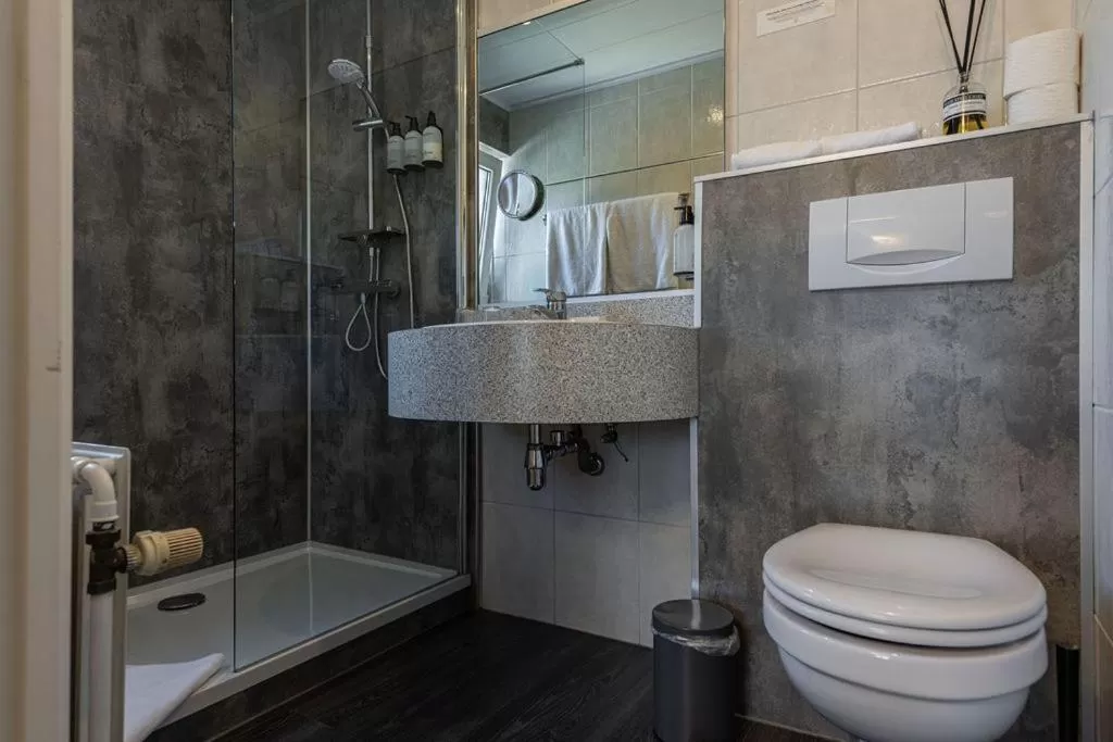 Bathroom in Boutique Hotel Slenaker Vallei - Buitengewoongenieten