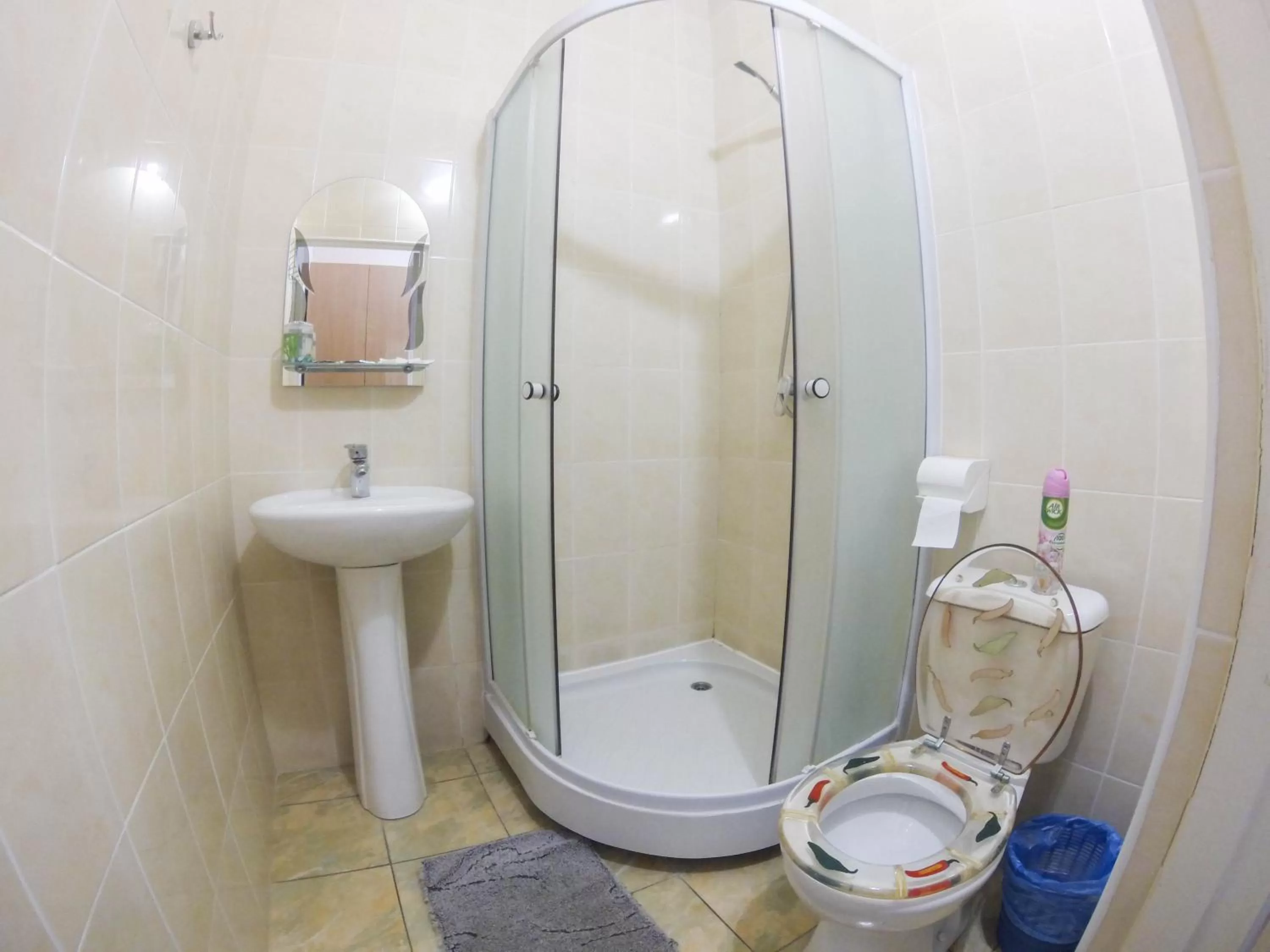 Shower, Bathroom in Galian Hotel