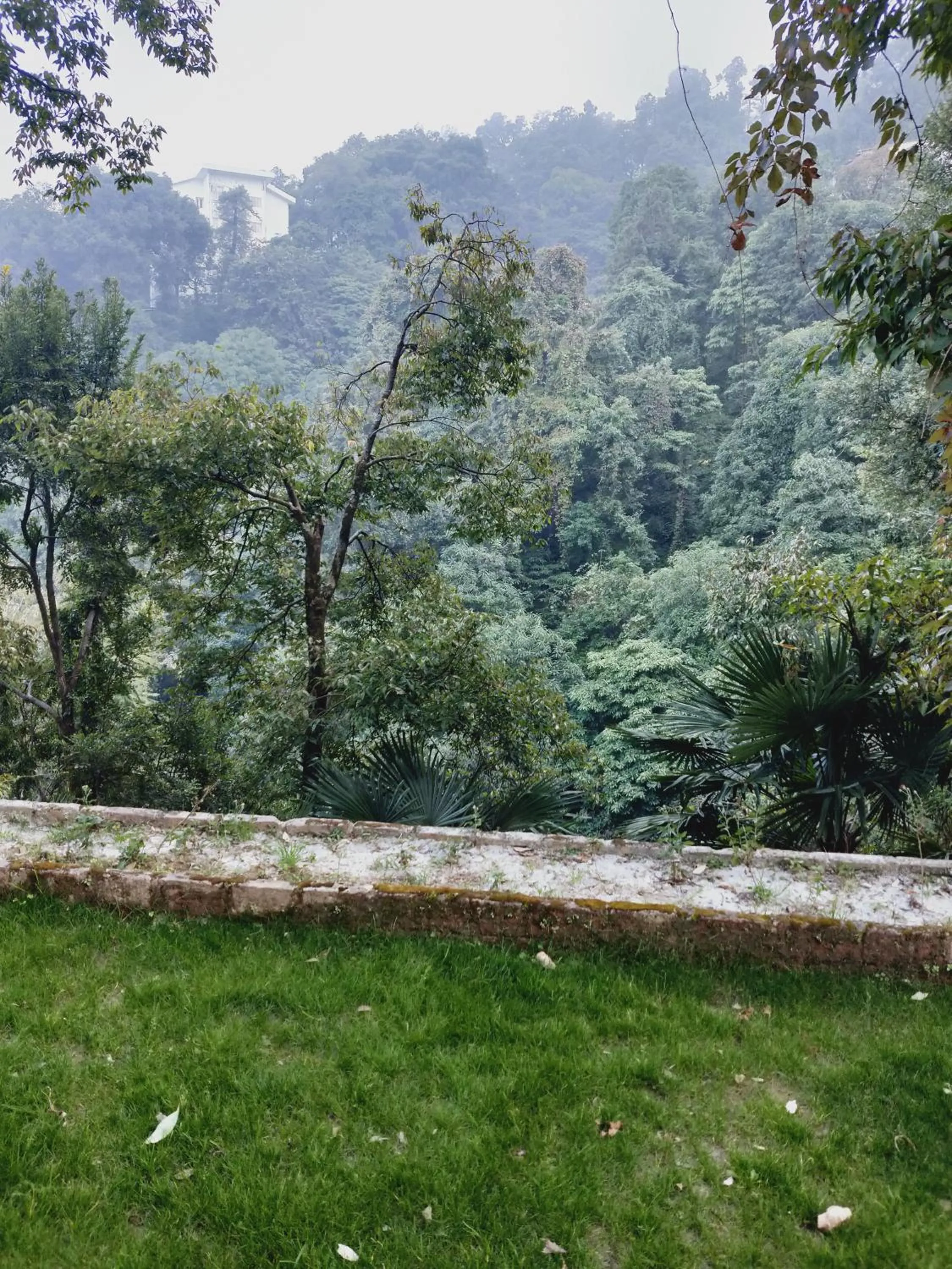 Natural landscape in The Mountain Quail